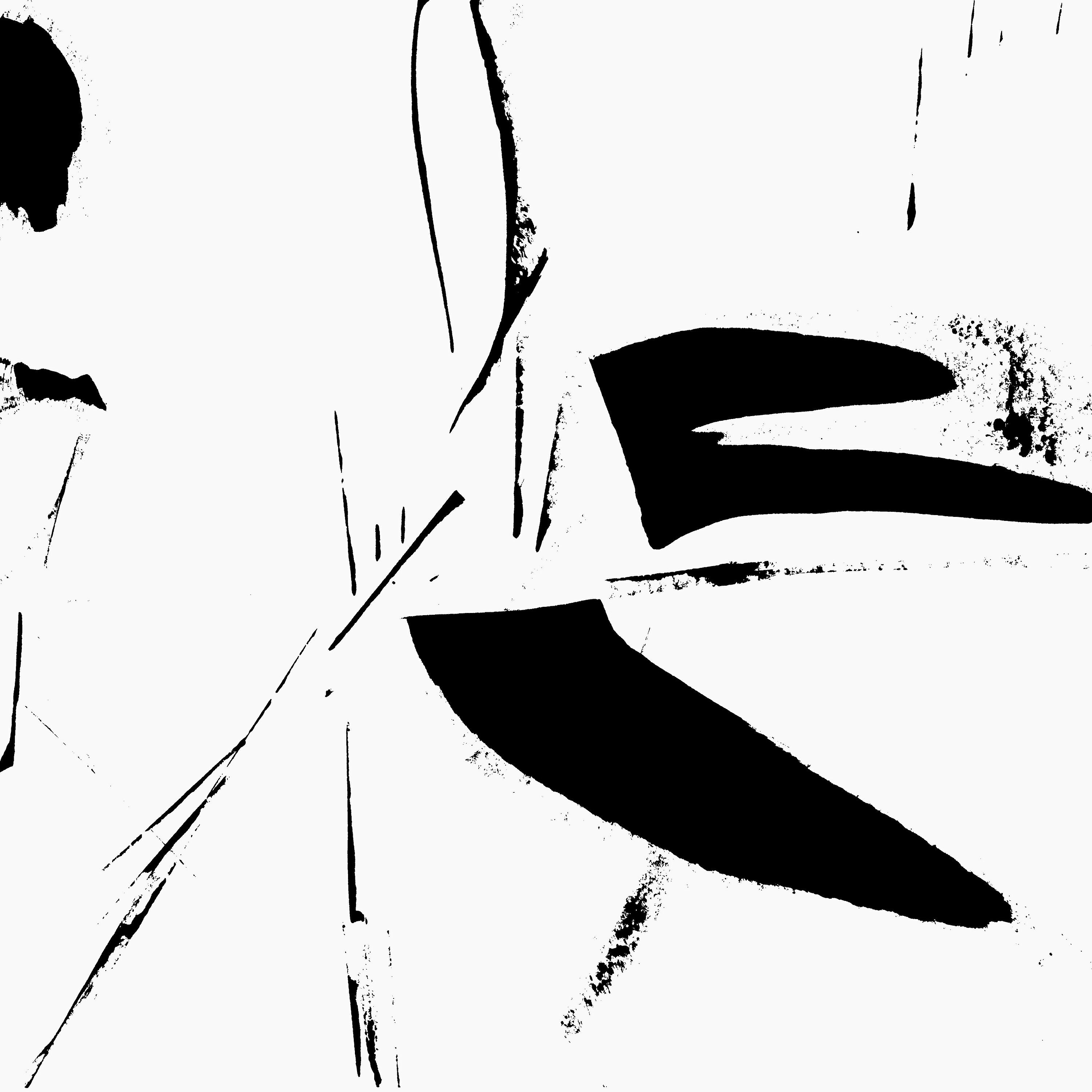 Akio Suzuki - “De Koolmees” (Stick Percussion Method)