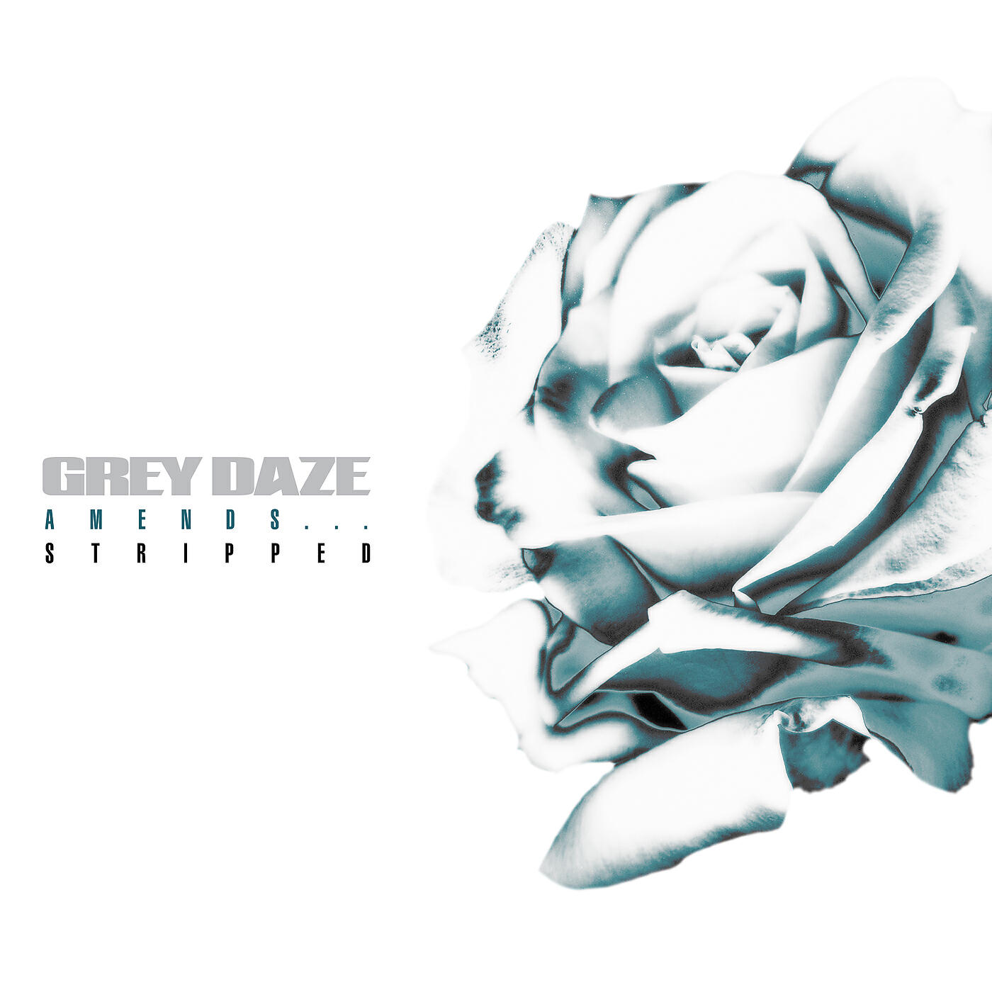 Grey daze. Grey Daze "amends (LP)". Grey Daze albums amends. Amends...stripped. Soul Song Grey Daze.