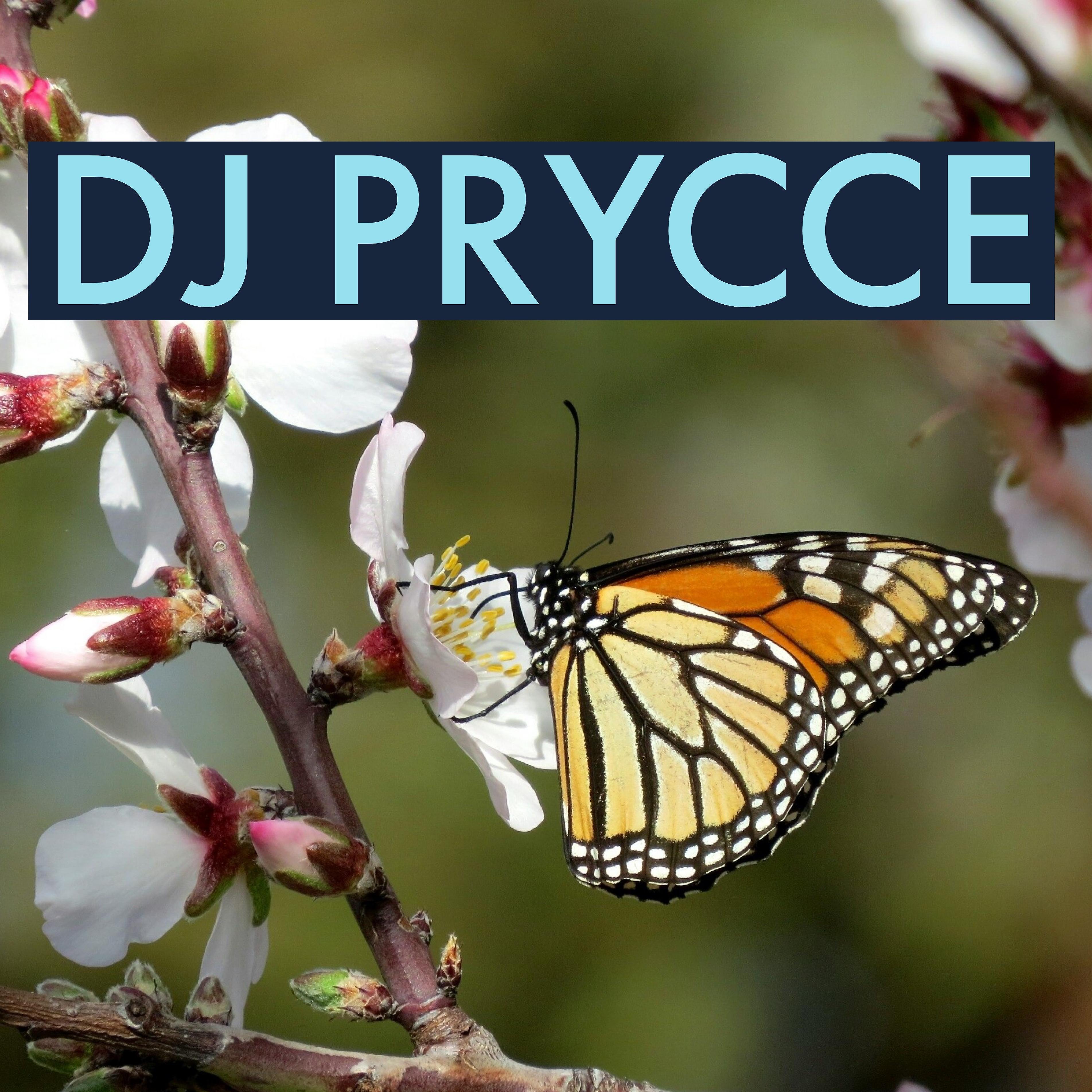 DJ PRYCCE - Action