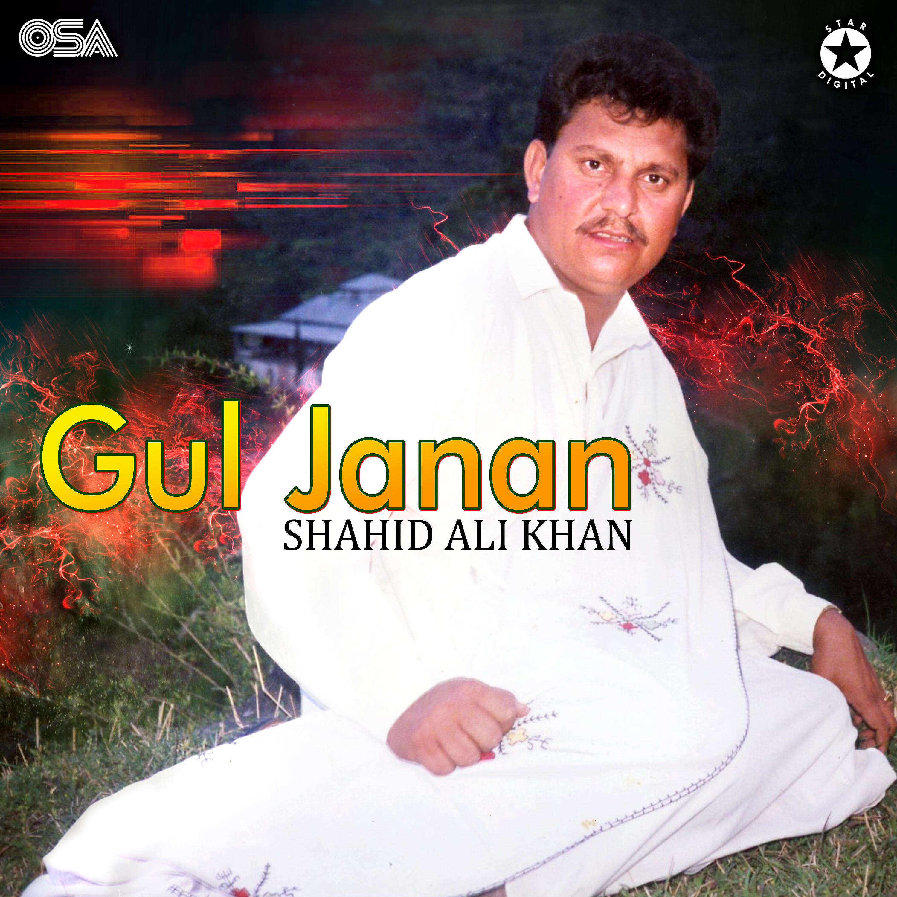 Shahid Ali Khan - Yeh Baat Badi Mushkil Hai