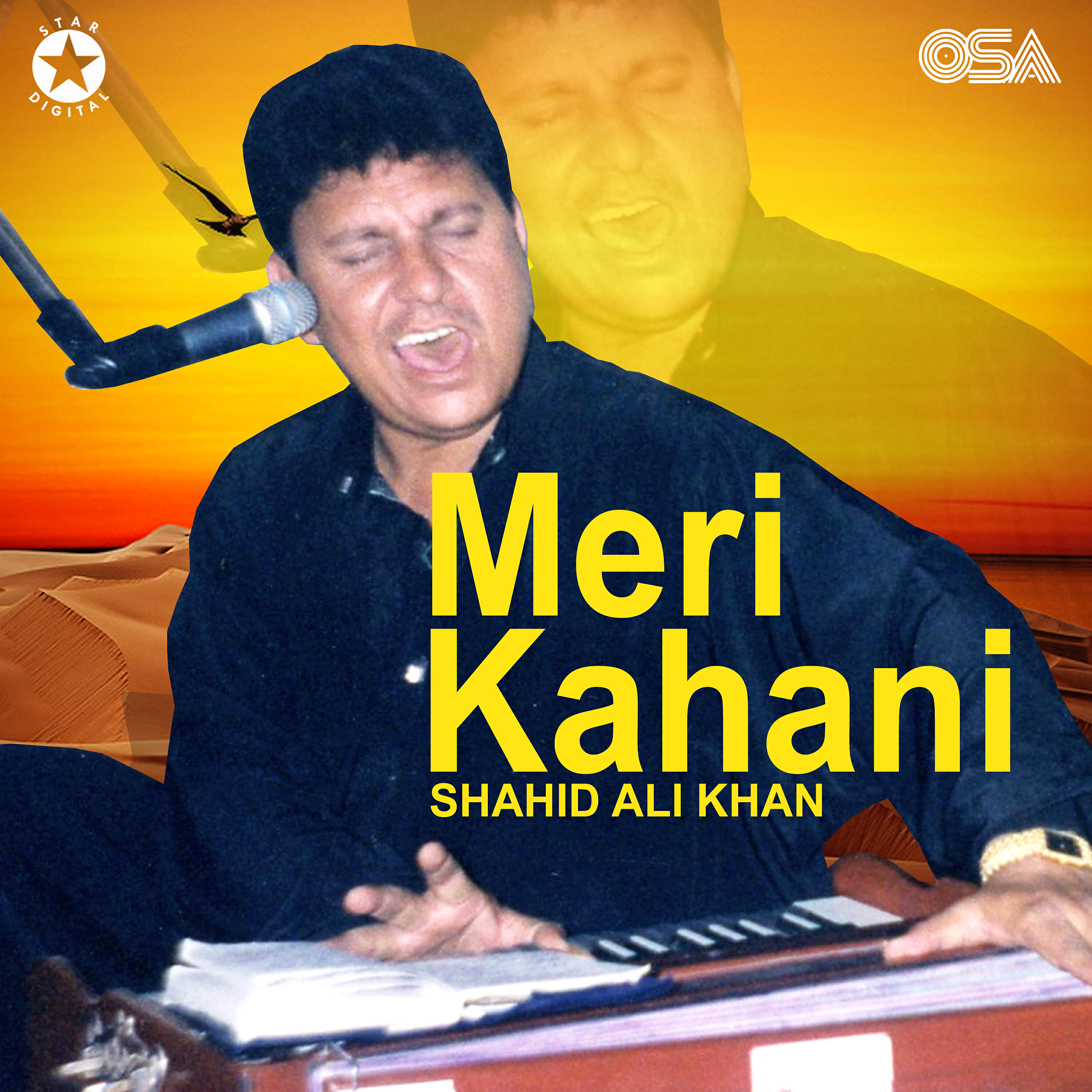 Shahid Ali Khan - O Sangdil O Harjai