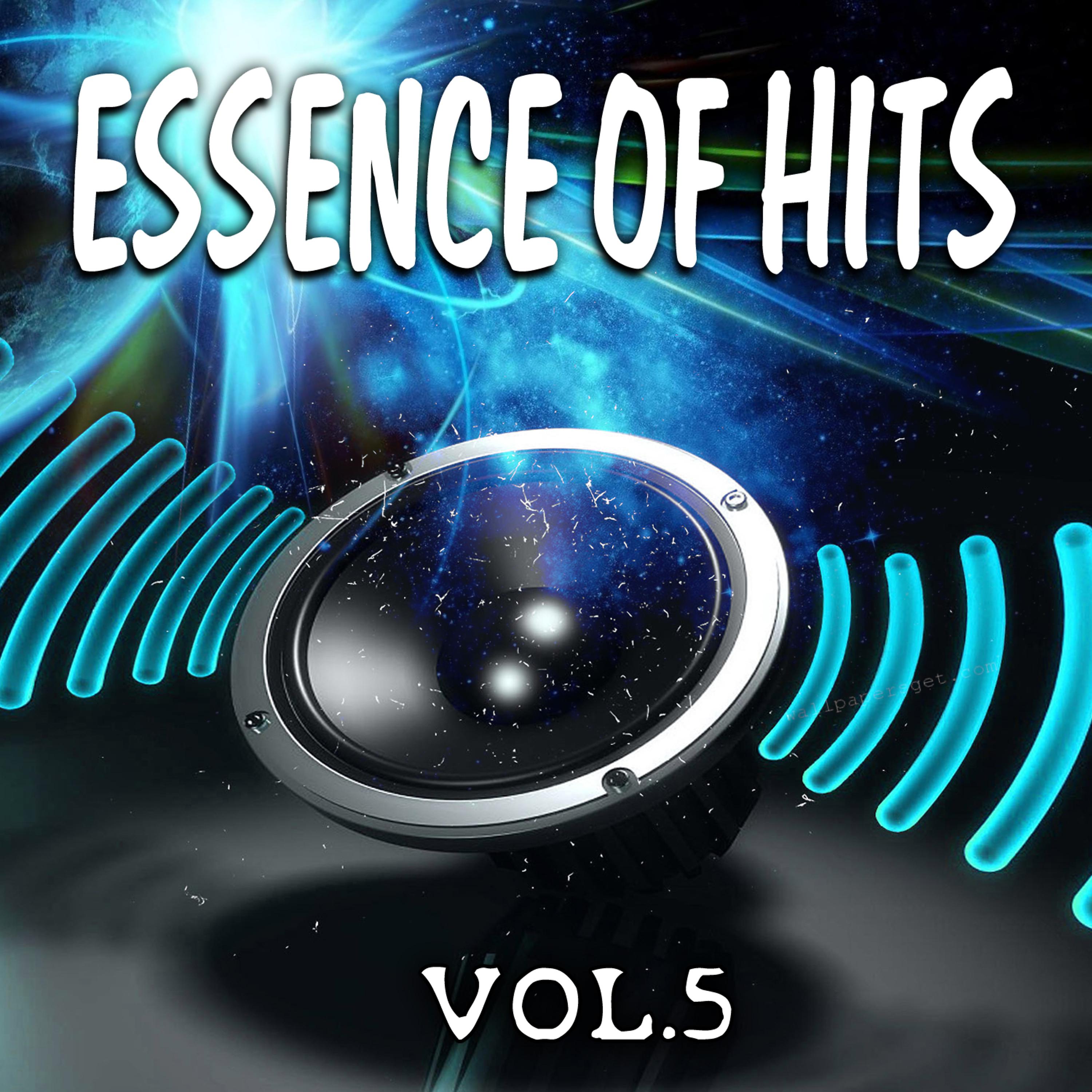Постер альбома Essence of Hits, Vol. 5