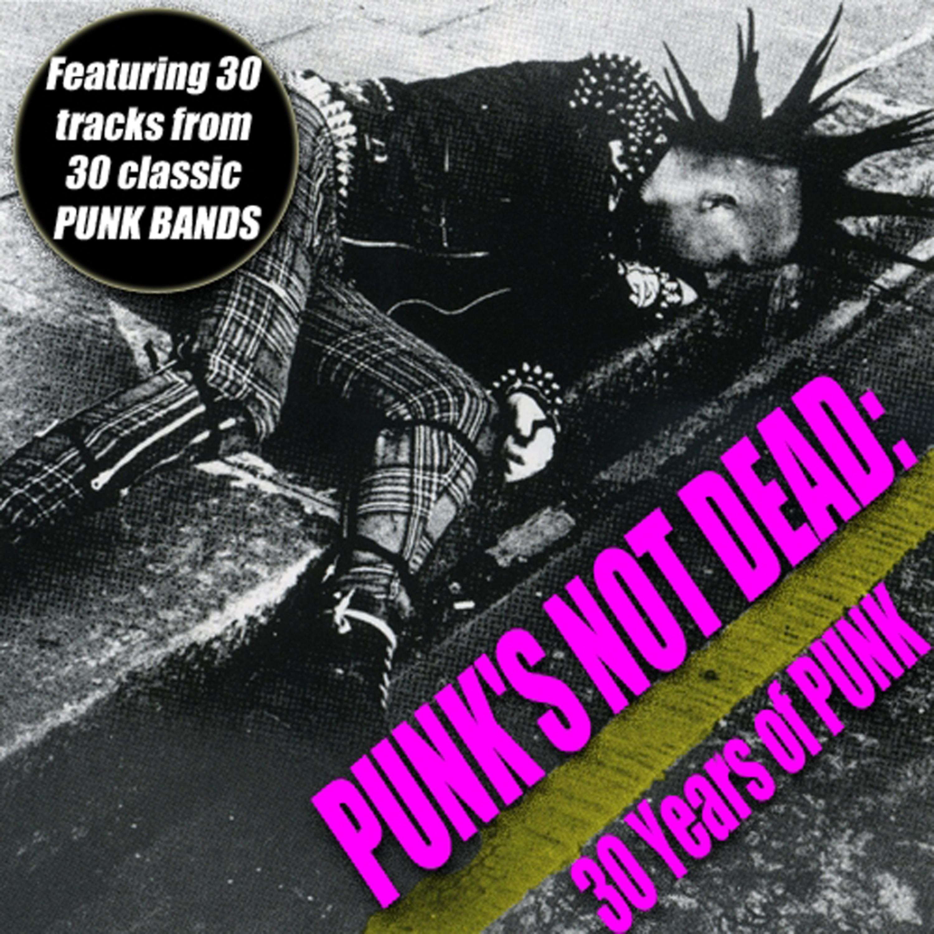 Постер альбома Punk's Not Dead - 30 Years Of Punk