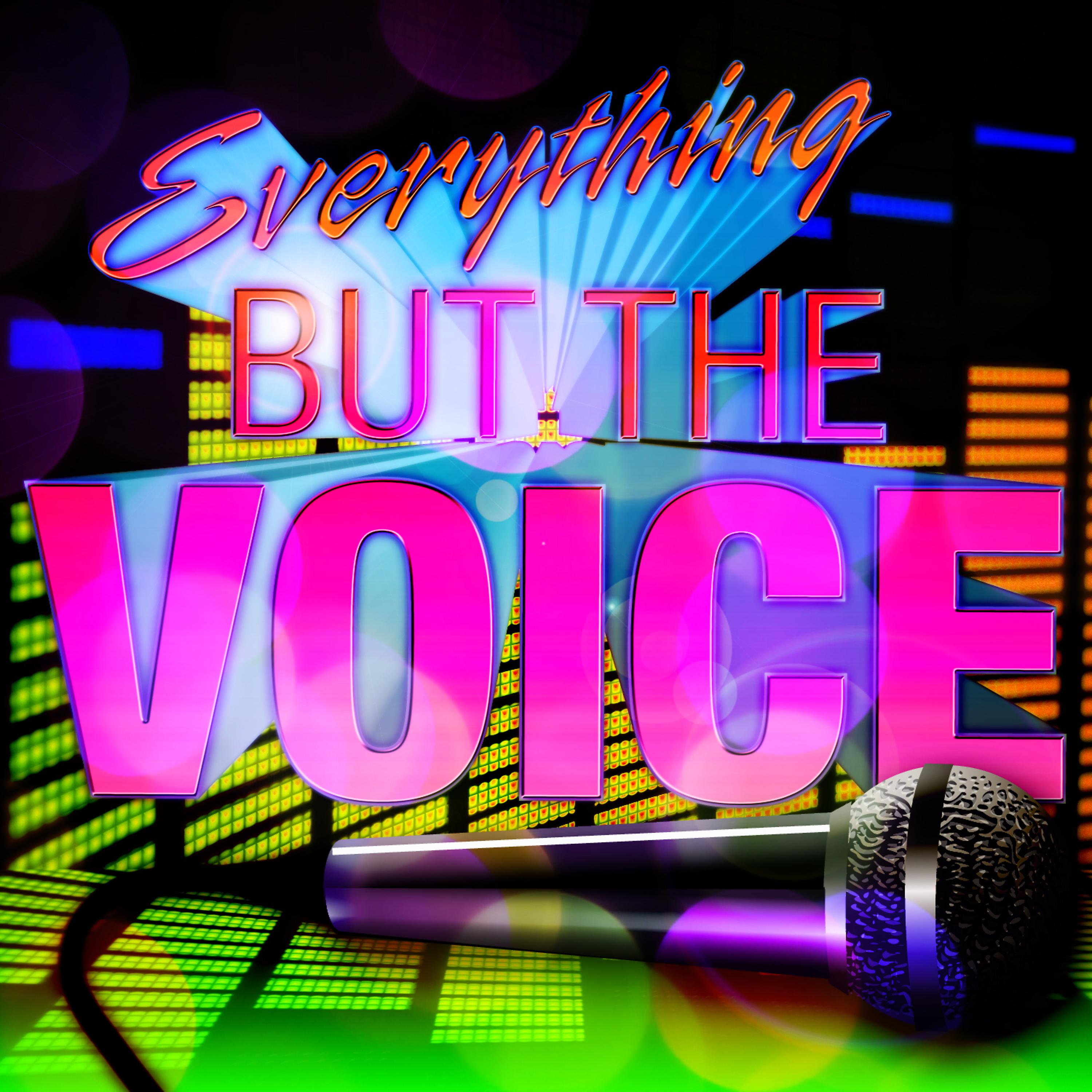 Постер альбома Everything But the Voice!