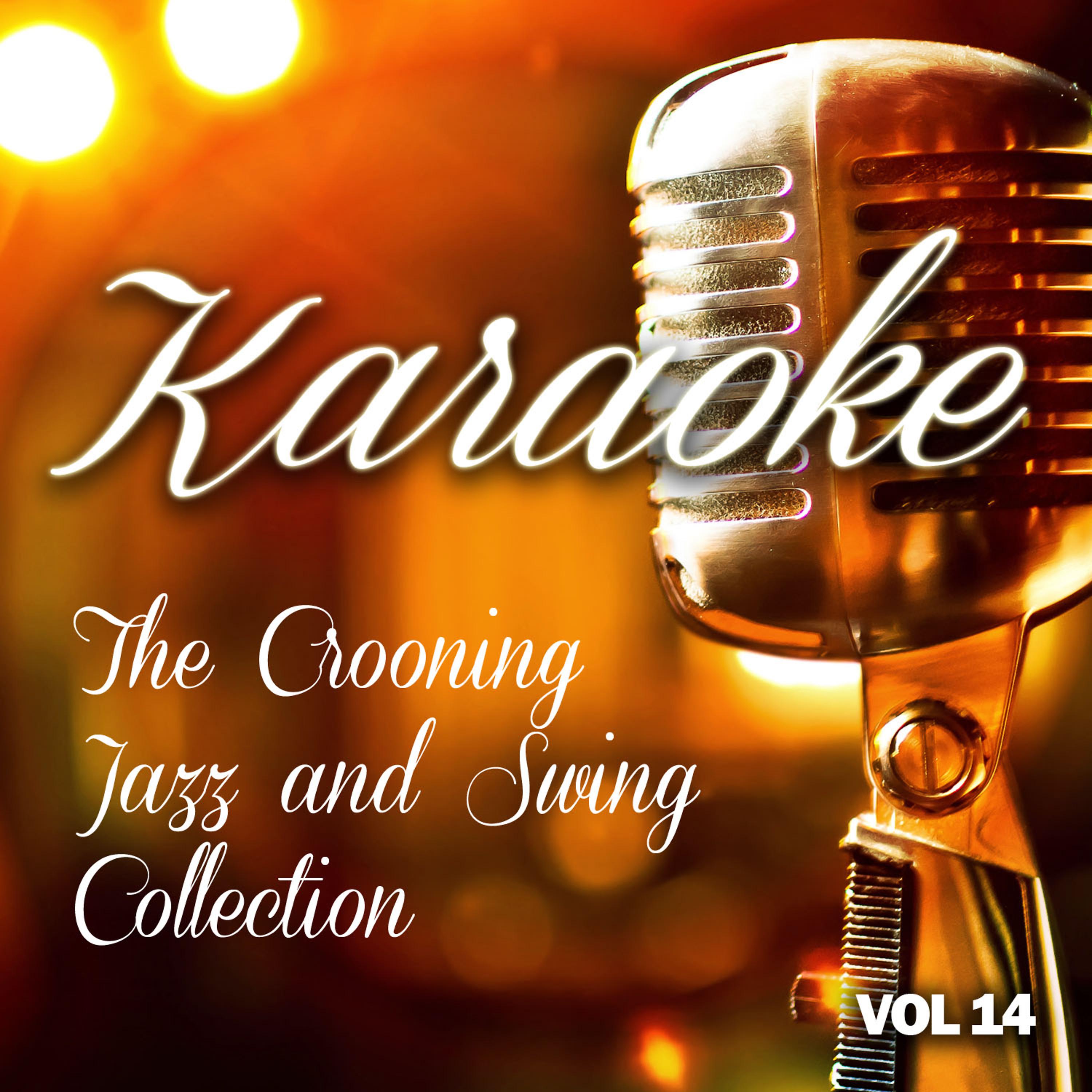 Постер альбома Karaoke - The Crooning, Jazz and Swing Collection, Vol .14