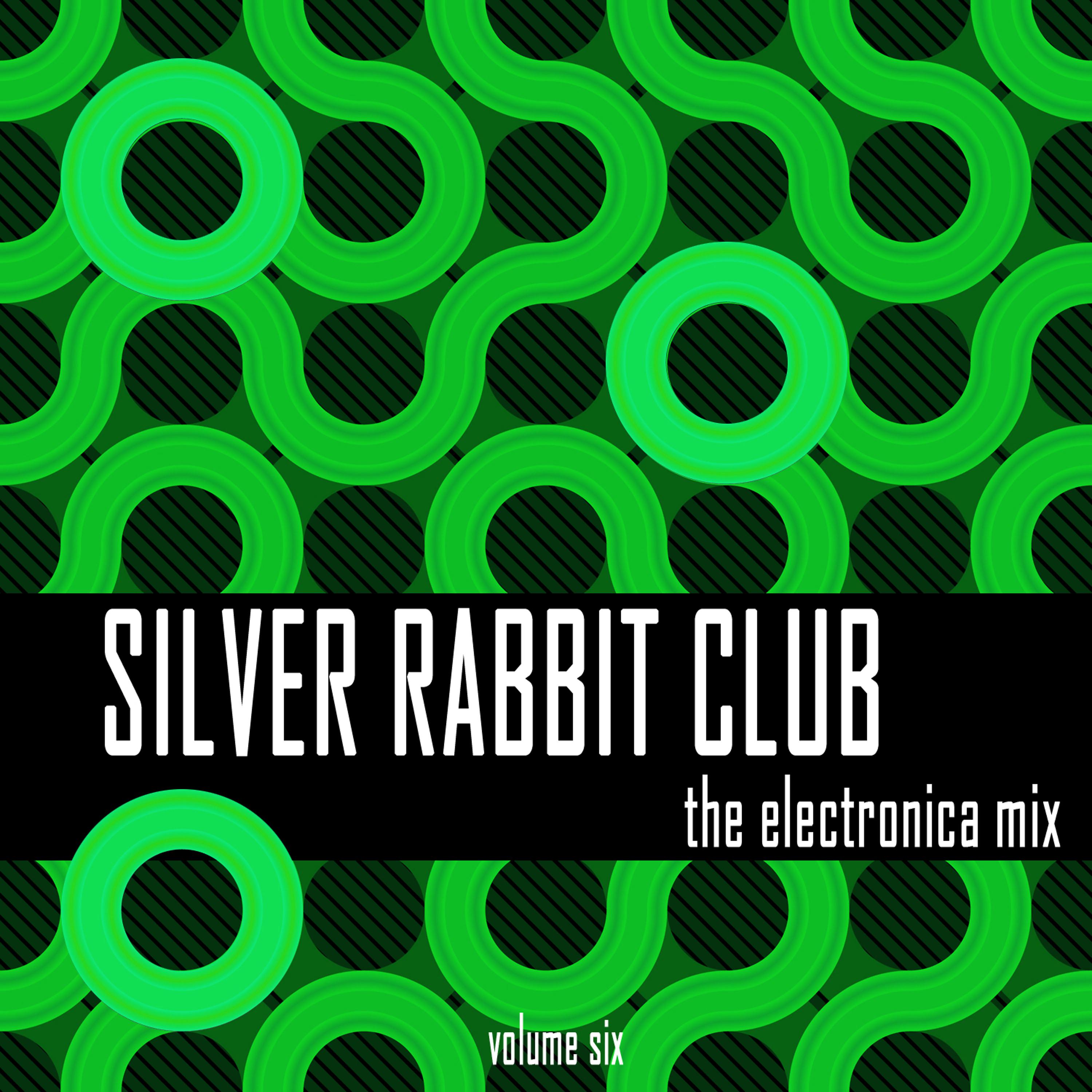 Постер альбома Silver Rabbit Club: The Electronica Mix, Vol. 6