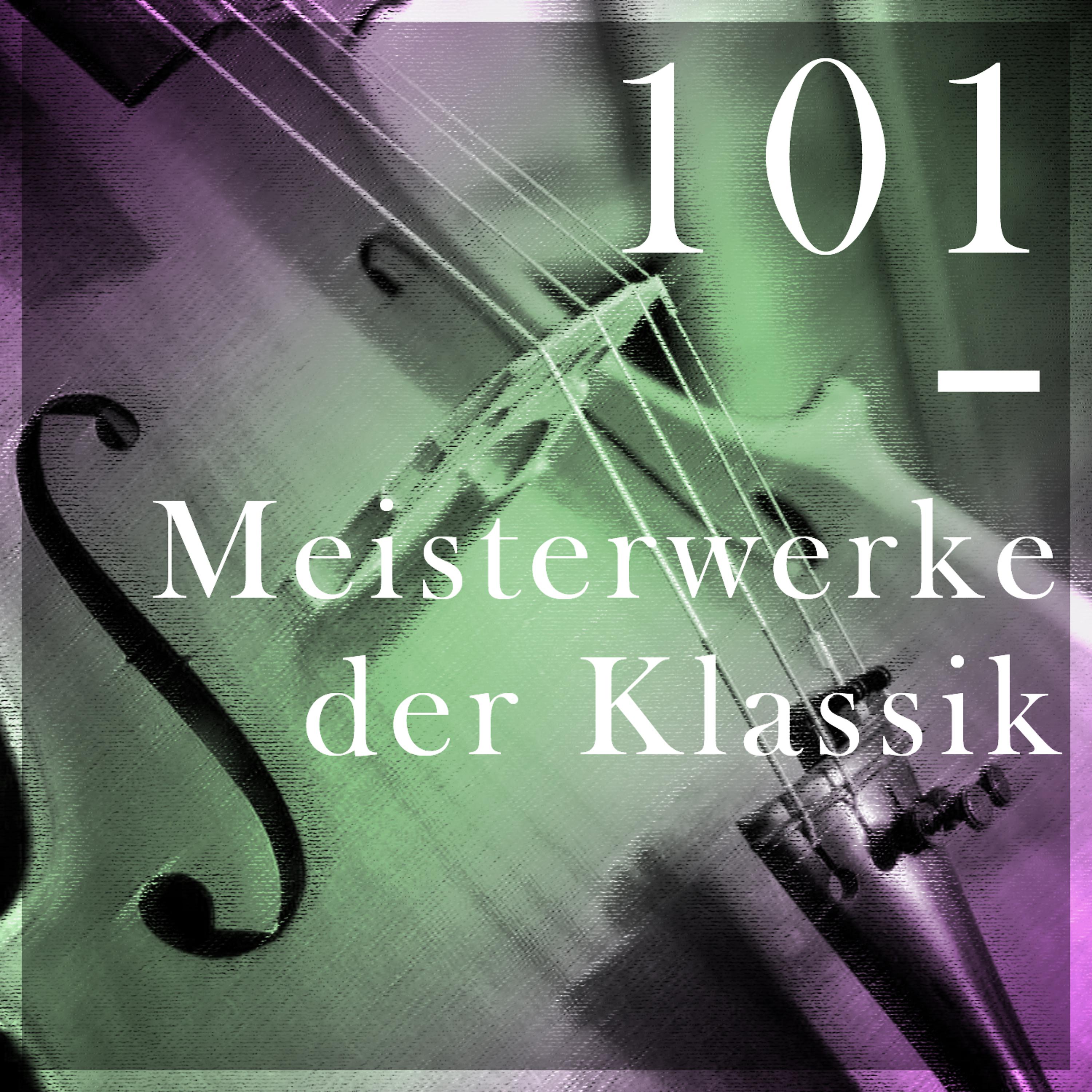 Постер альбома 101 Meisterwerke der Klassik