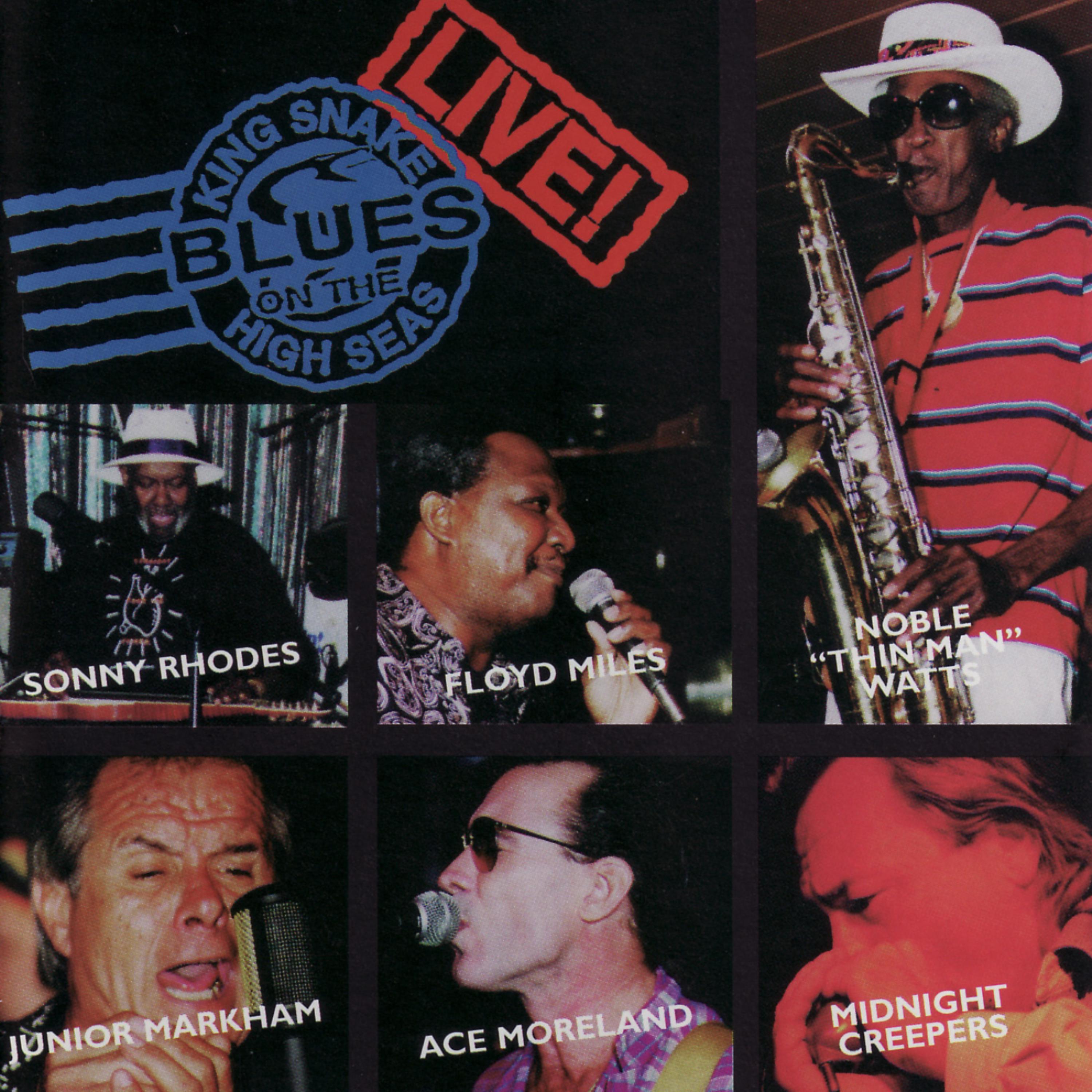 Постер альбома Blues on the High Seas - King Snake LIVE!