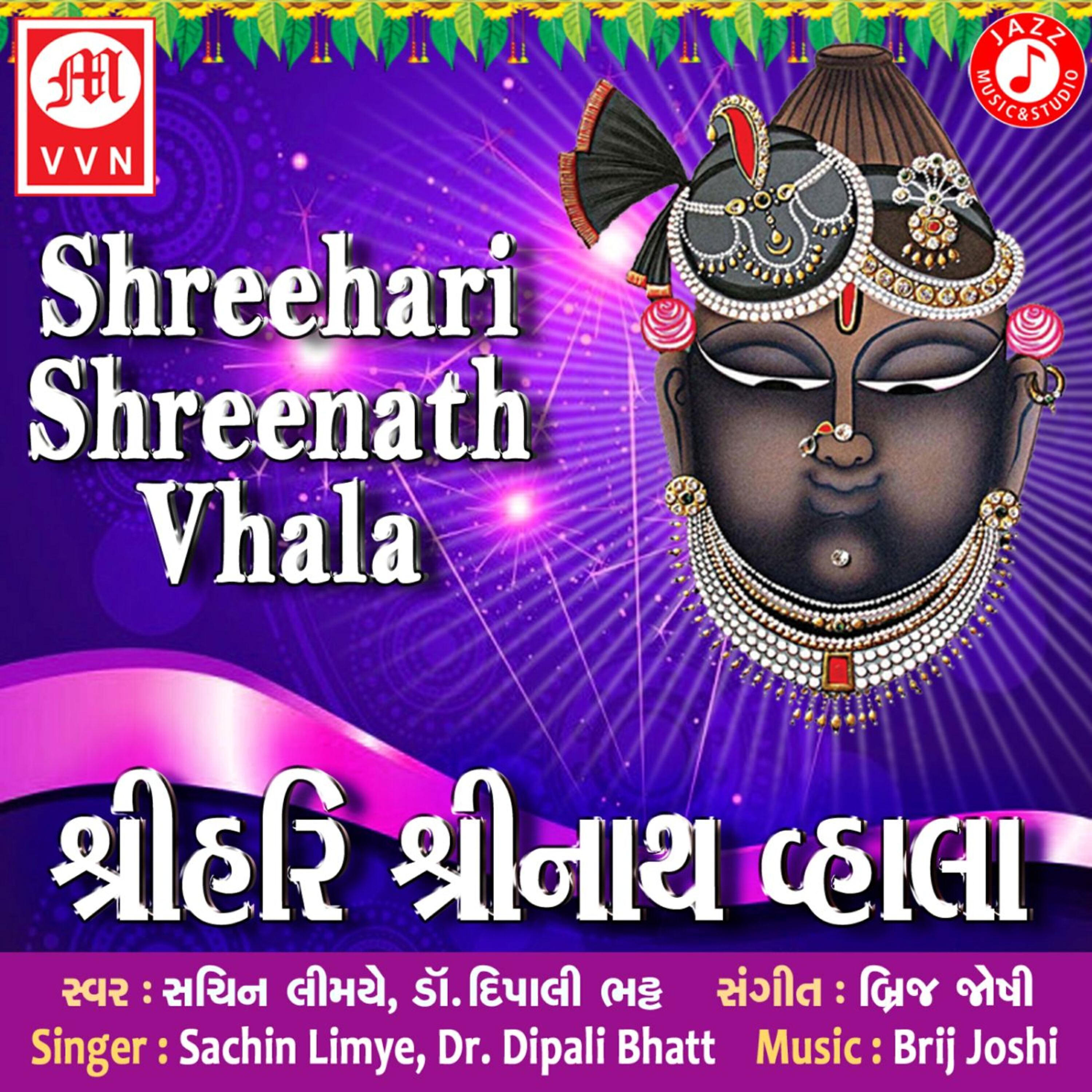 Sachin Limye - Jay Shreenath Sundar Shyam