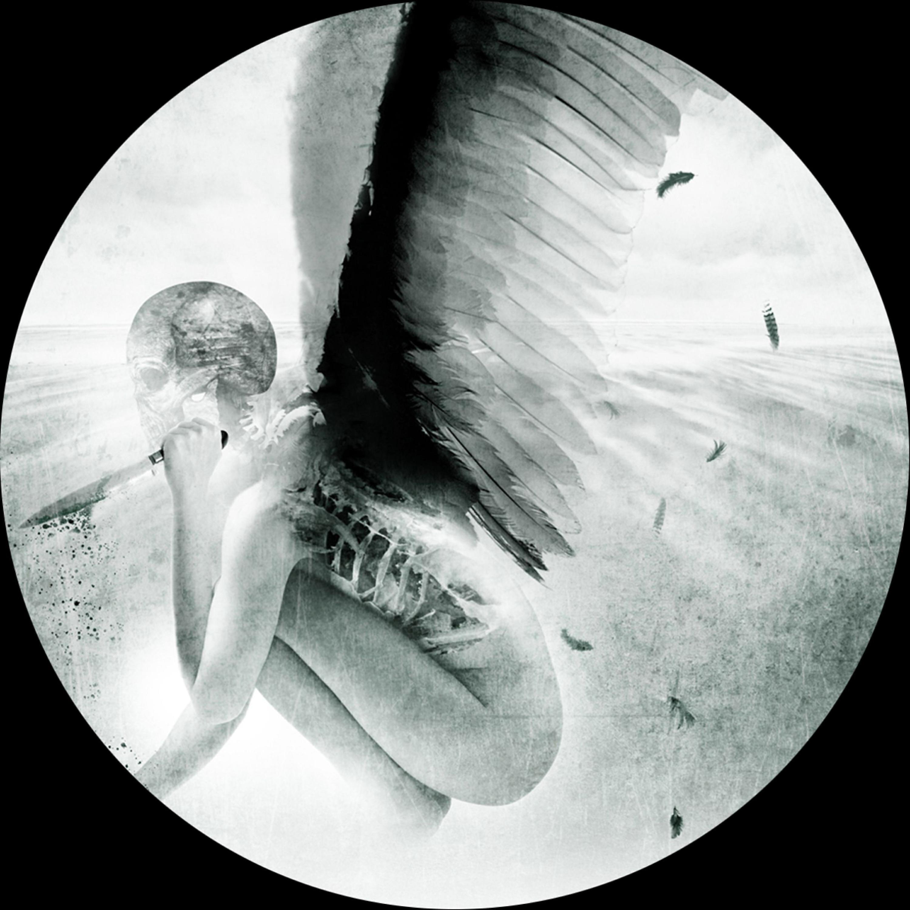 David Meiser - There Is No Scape in Universe