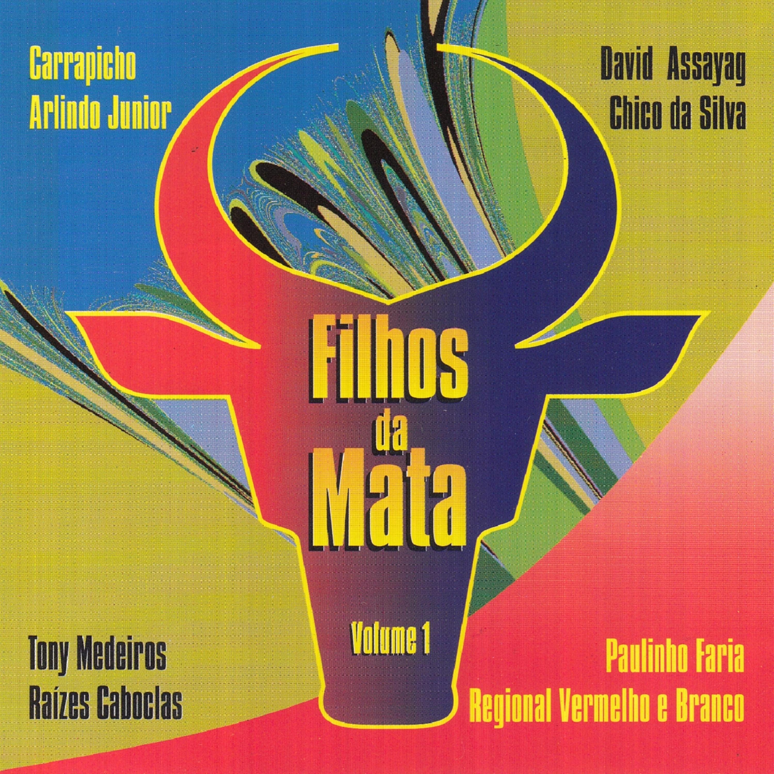 Постер альбома Filhos da Mata