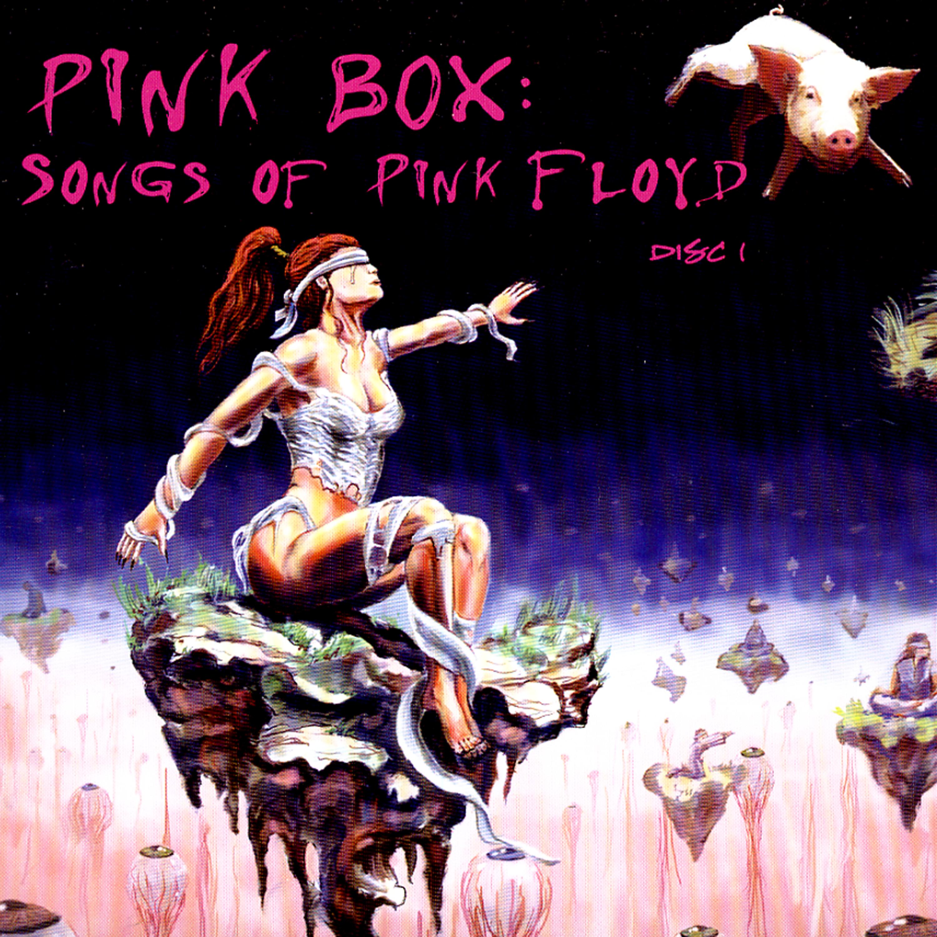 Постер альбома Pink Box: Songs Of Pink Floyd