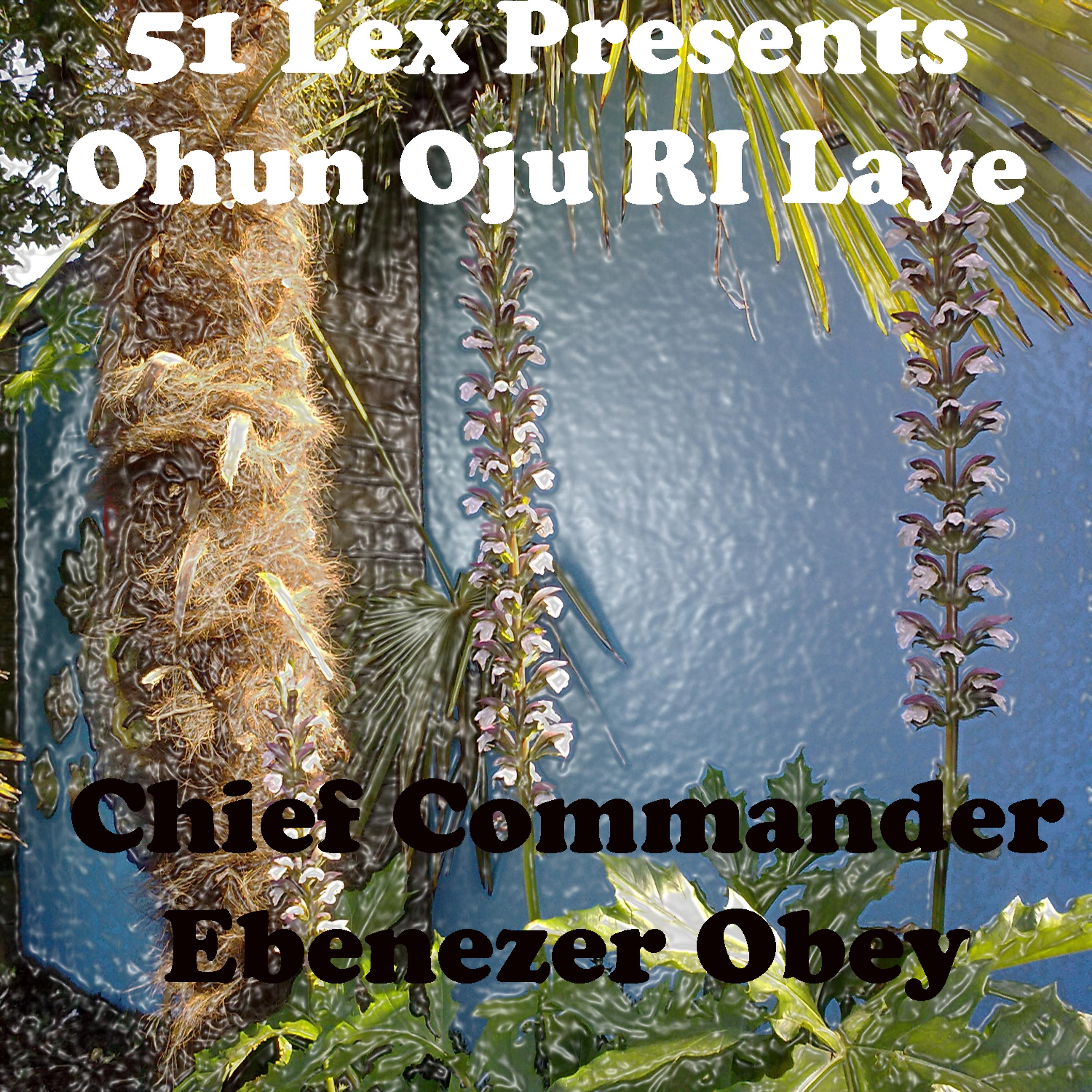 Постер альбома 51 Lex Presents Ohun Oju Ri Laye