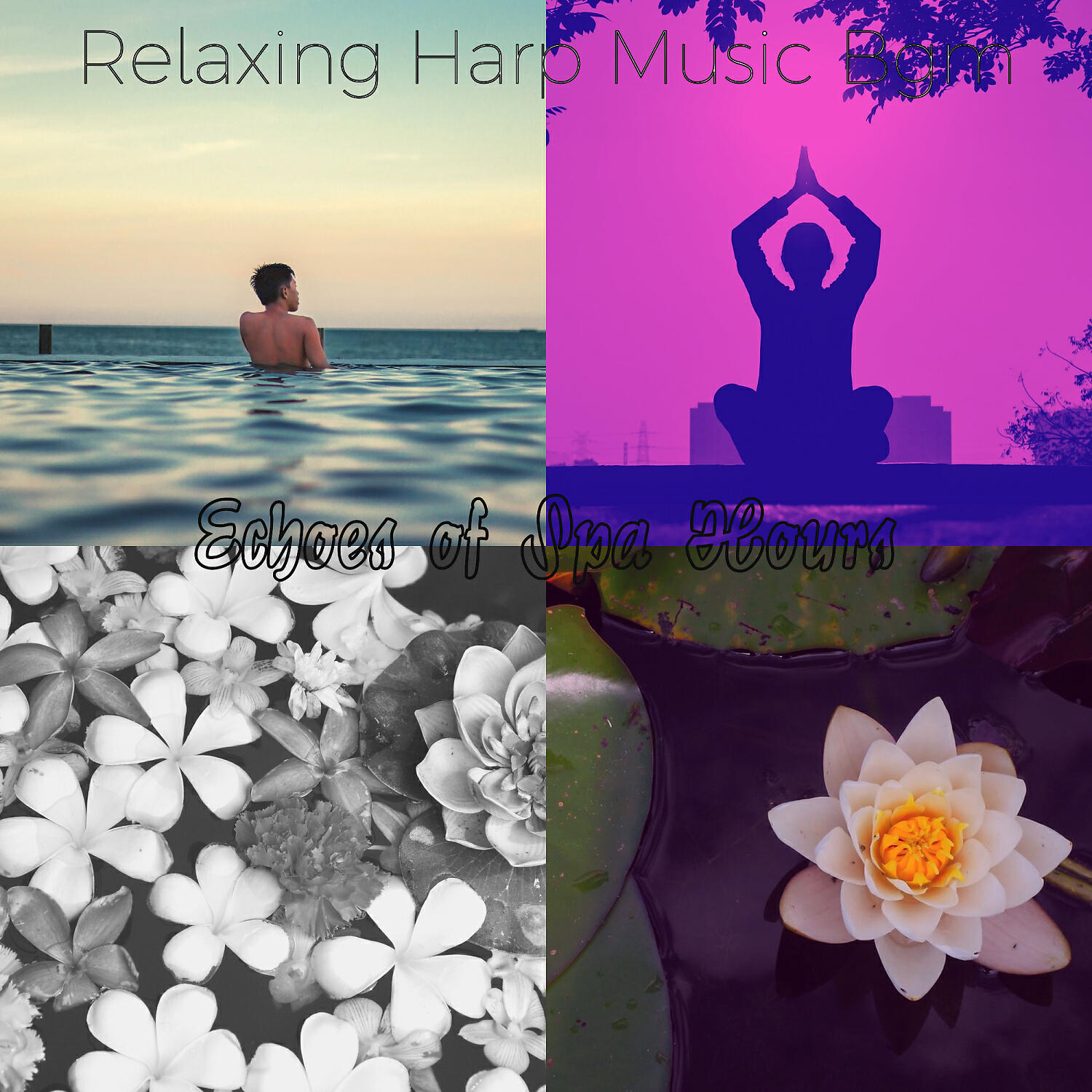 Relaxing Harp Music Bgm - Breathtaking Guitar and Harps - Vibe for 1 Hour Spa