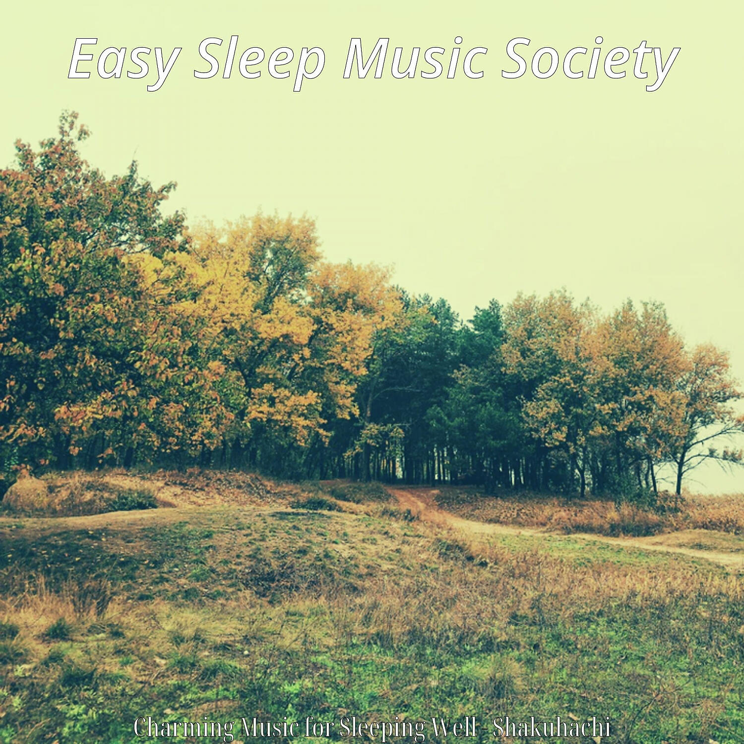 Easy Sleep Music Society - Charming Music for Siestas