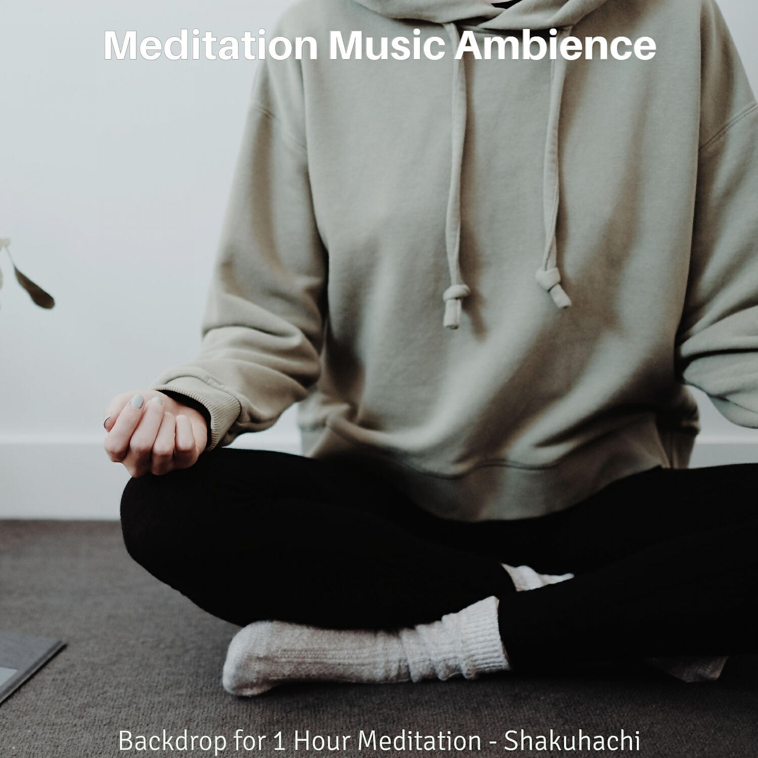 Meditation Music Ambience - Cheerful Music for Meditation Therapy