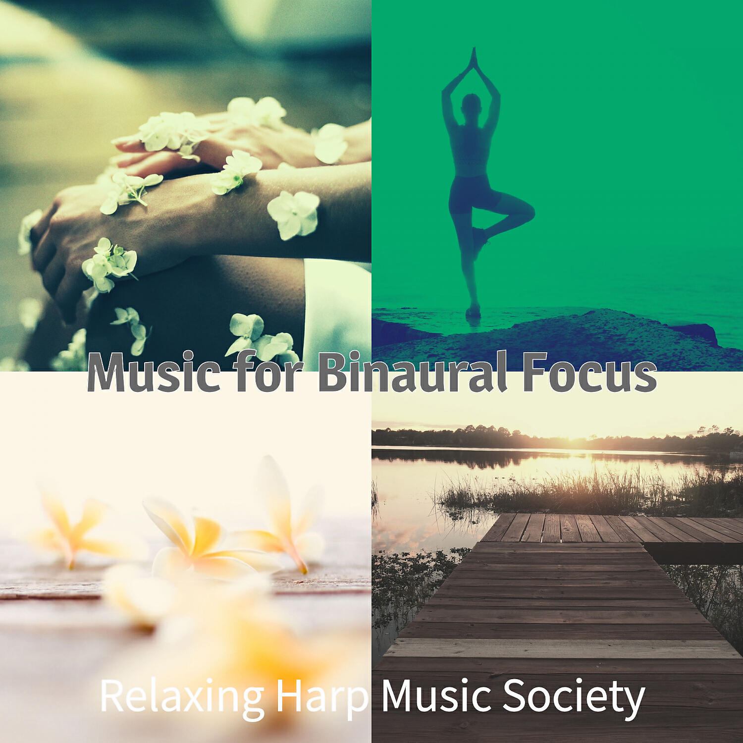 Relaxing Harp Music Society - Retro Ambience for Spa Treatments