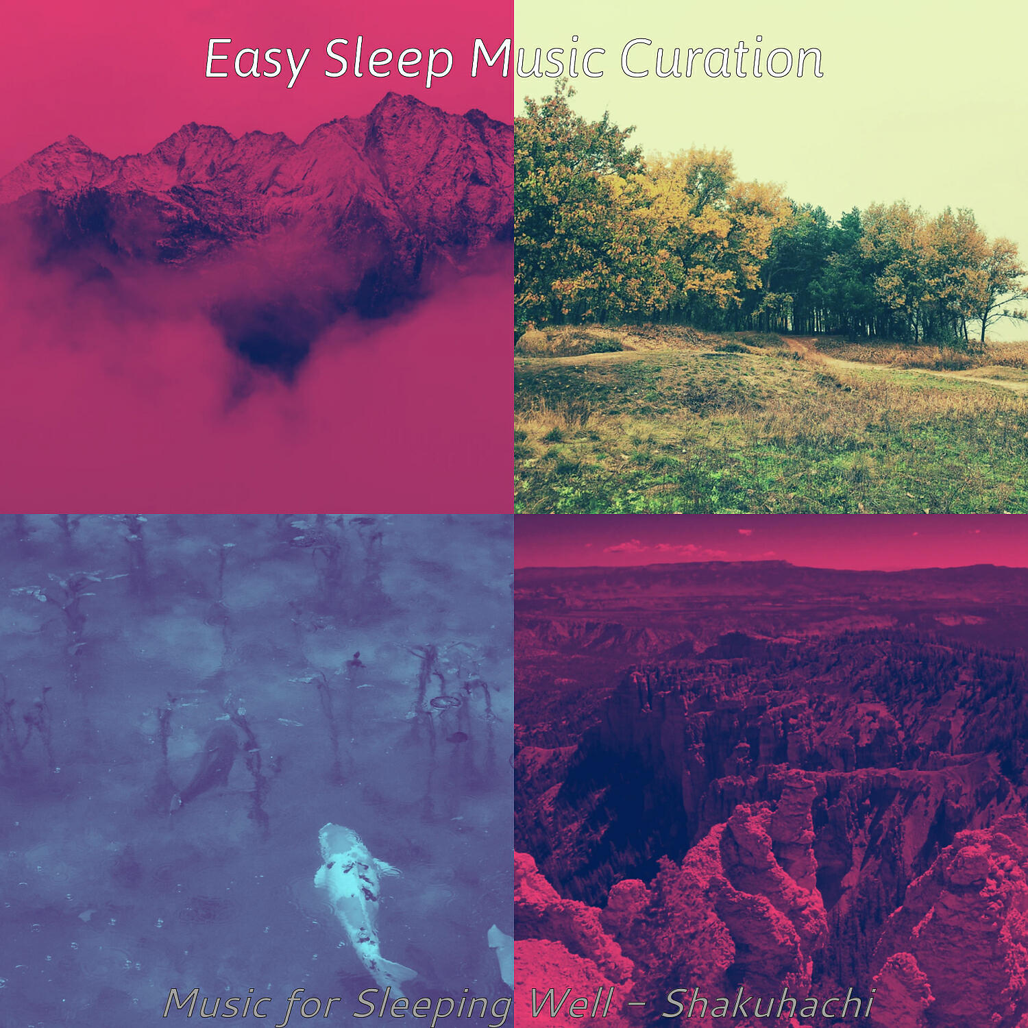 Easy Sleep Music Curation - Fabulous Shakuhachi and Harps - Vibe for Binaural Sleep