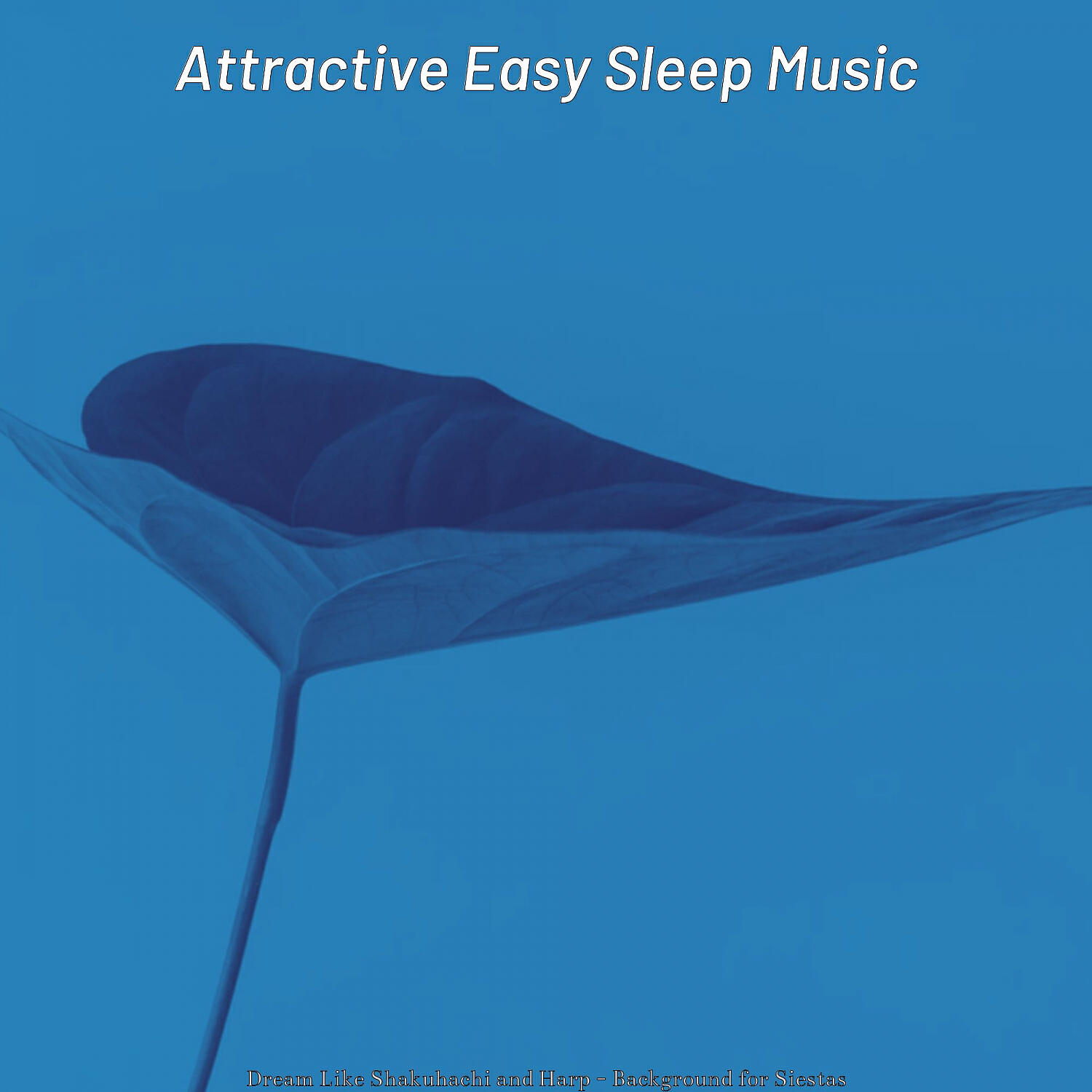 Attractive Easy Sleep Music - Friendly Shakuhachi and Harps - Vibe for Sleeping Well