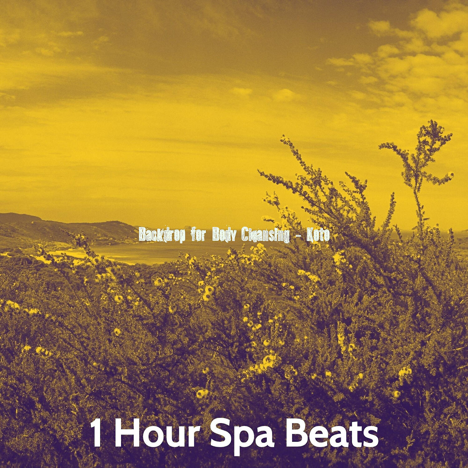 1 Hour Spa Beats - Sophisticated Music for Soul Remedies