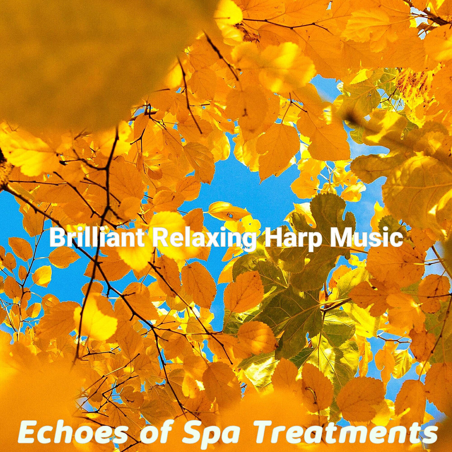 Brilliant Relaxing Harp Music - Number One Guitar and Harps - Vibe for 2 Hour Spa