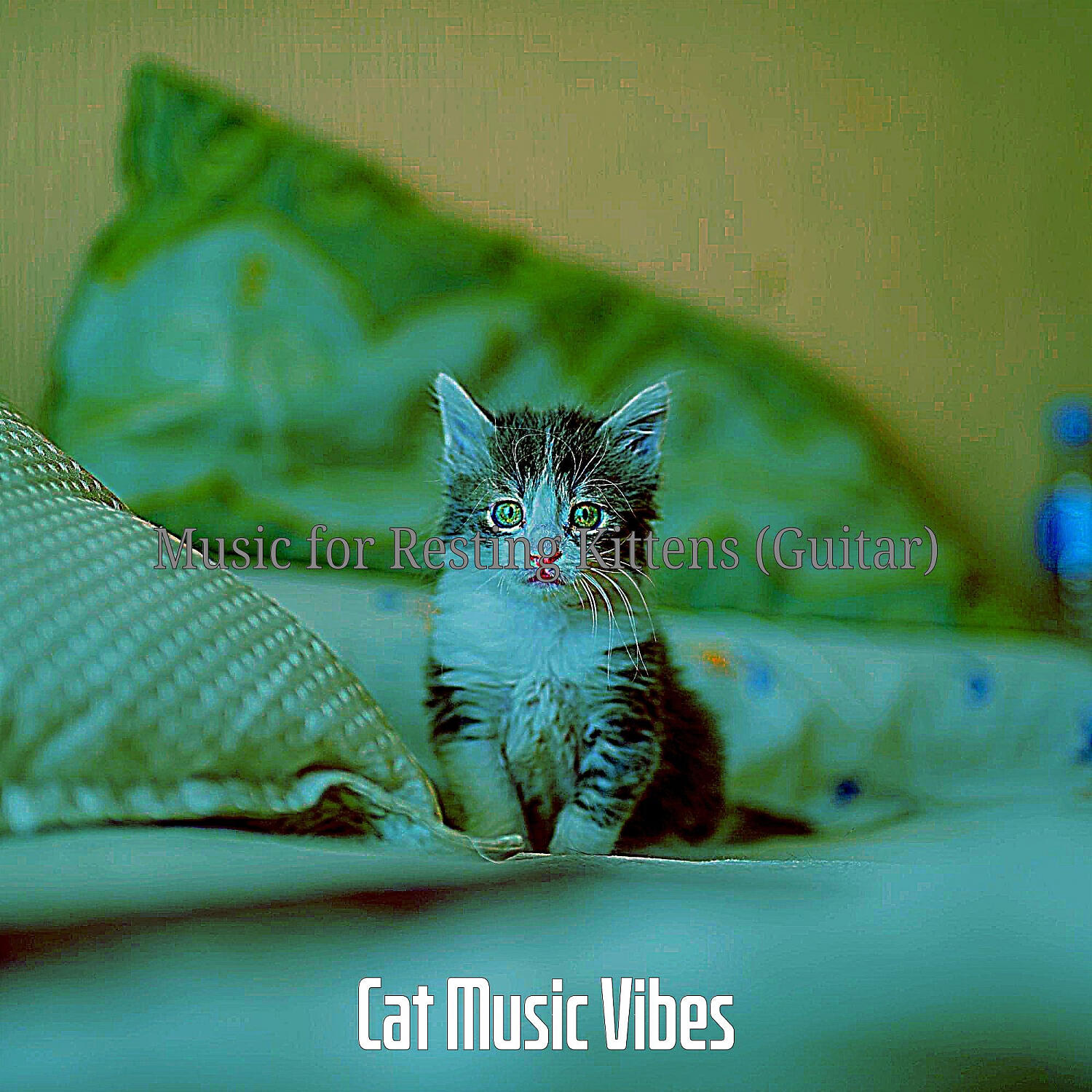 Cat Music Vibes - Vibrant Music for Kittens