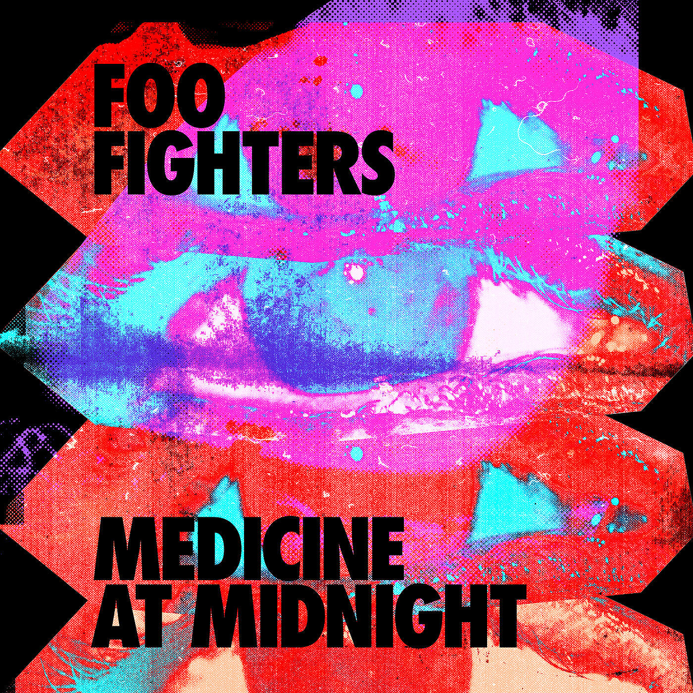 Foo Fighters - Chasing Birds