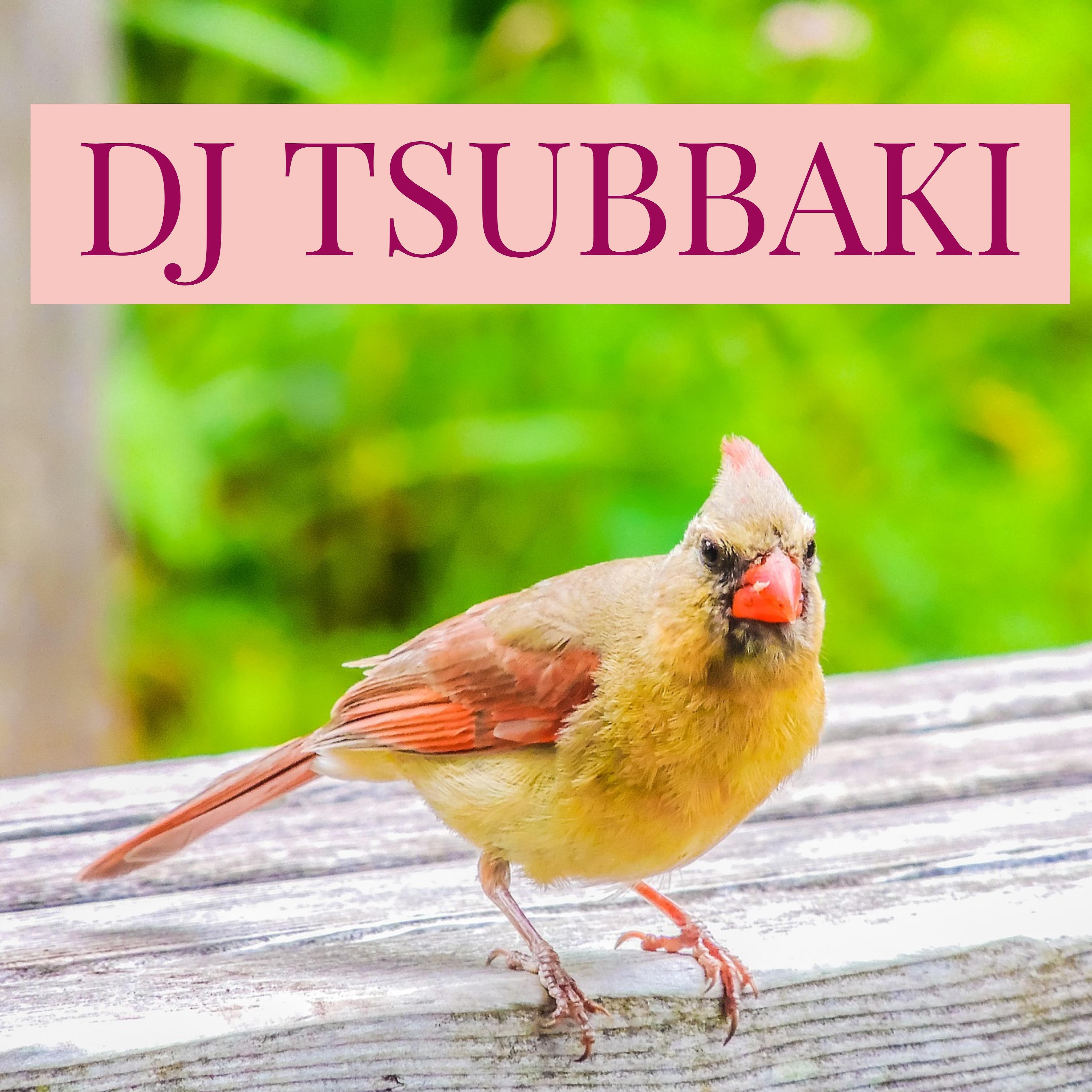 DJ TSUBBAKI - Big 