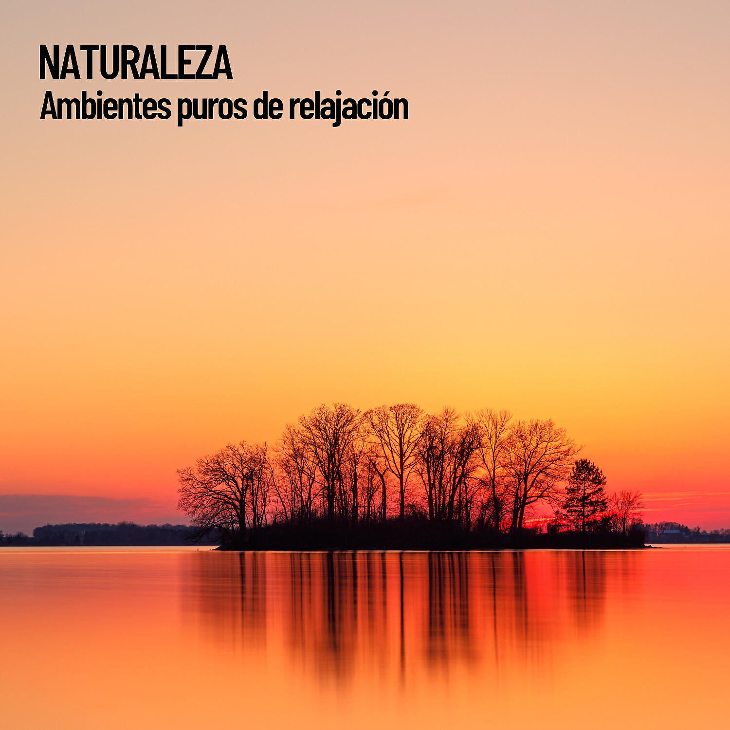 Nature Sounds XLE Library - Mantra de la calma de la naturaleza