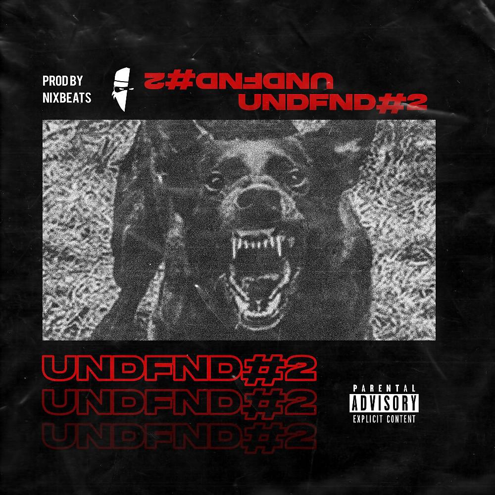 Постер альбома Undfnd No. 2