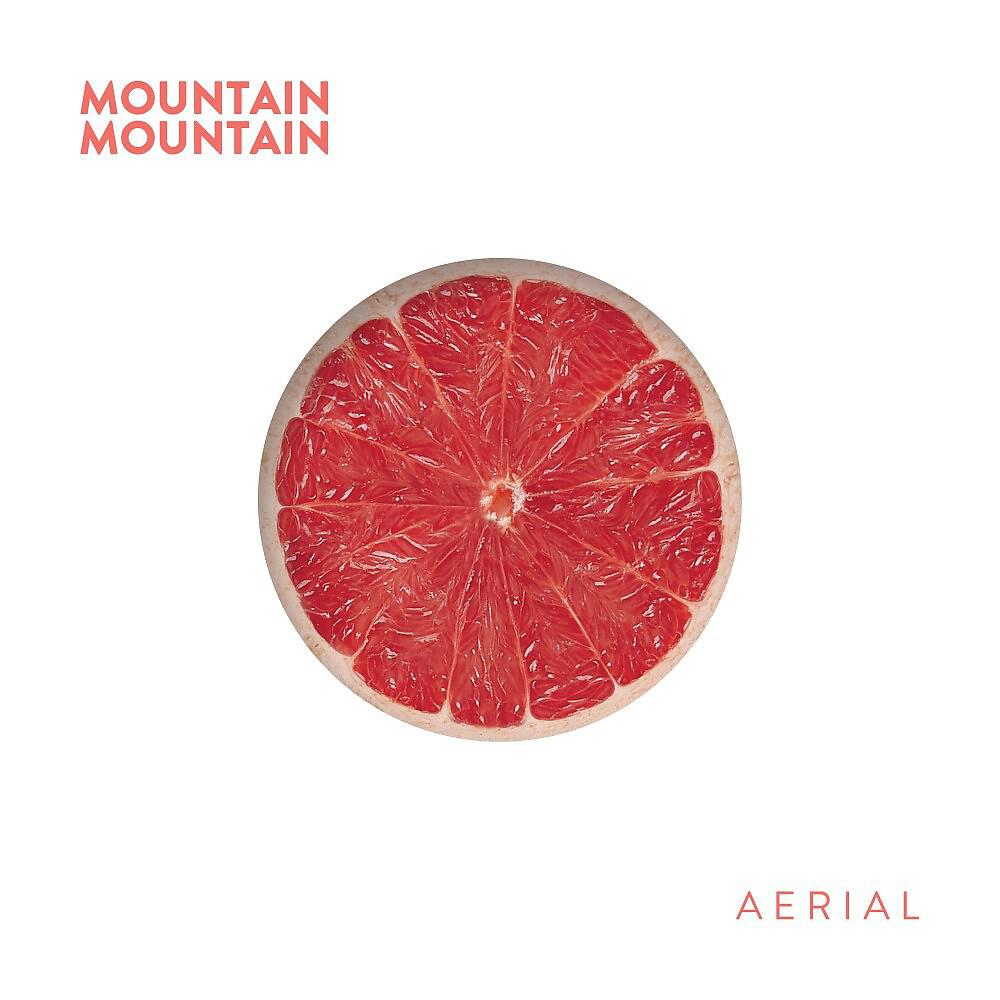 MOUNTAIN MOUNTAIN - The Whole Picture