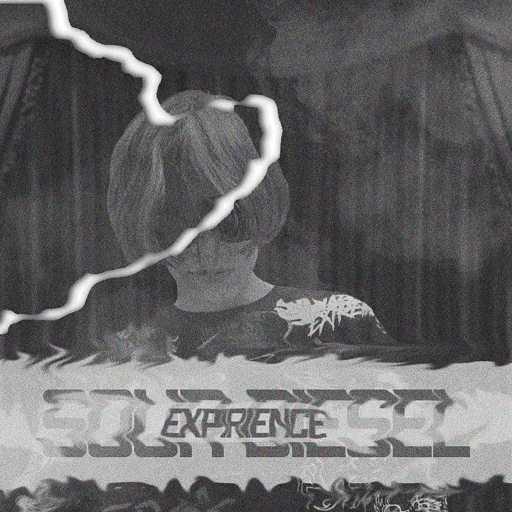 Постер альбома Expirience