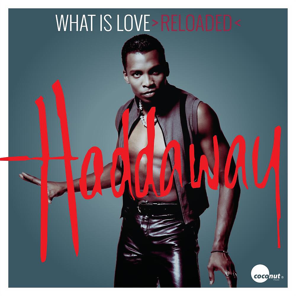 Haddaway - the album. солист группы haddaway. Haddaway the album 1993. Haddaway 2022. Haddaway what is love обложка.