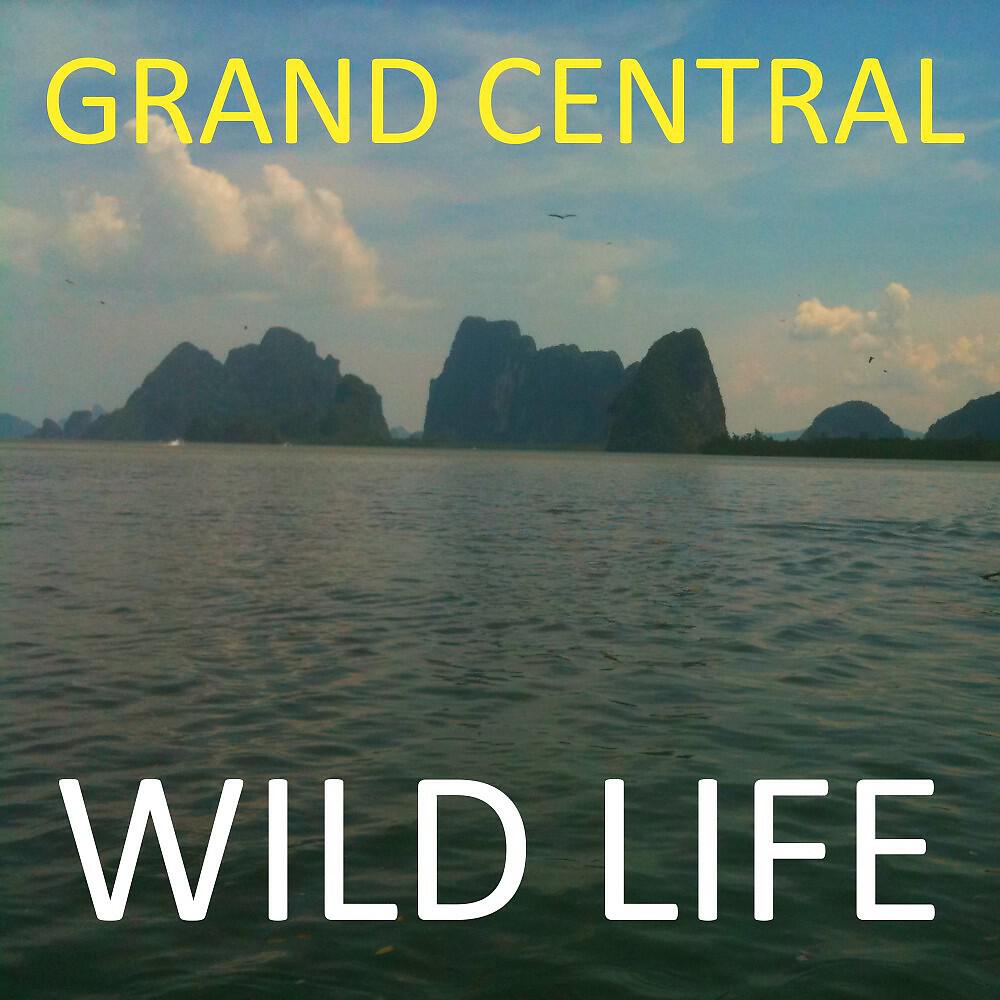 Grand Central - Keyla