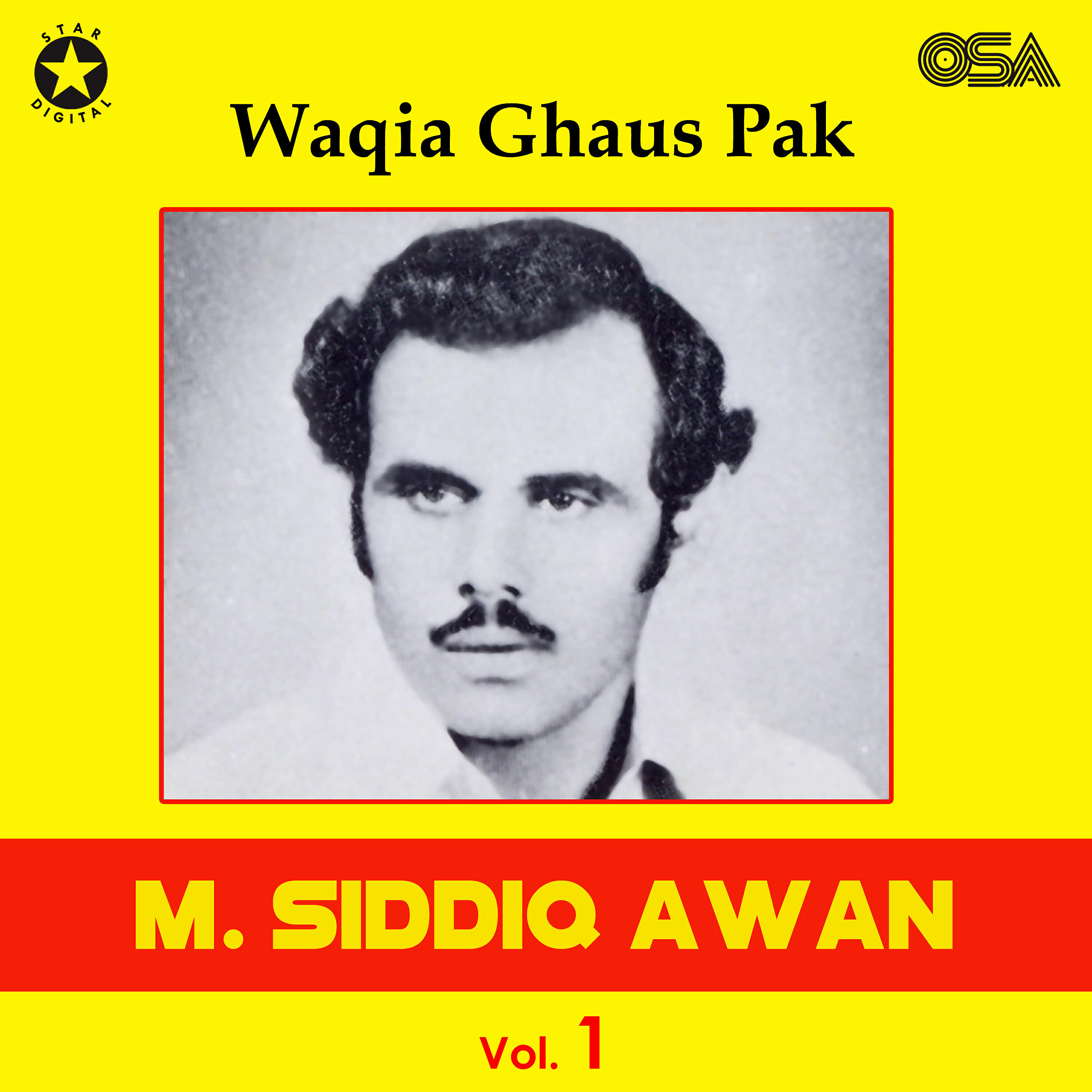 M. Siddiq Awan - Qalandari Shaan