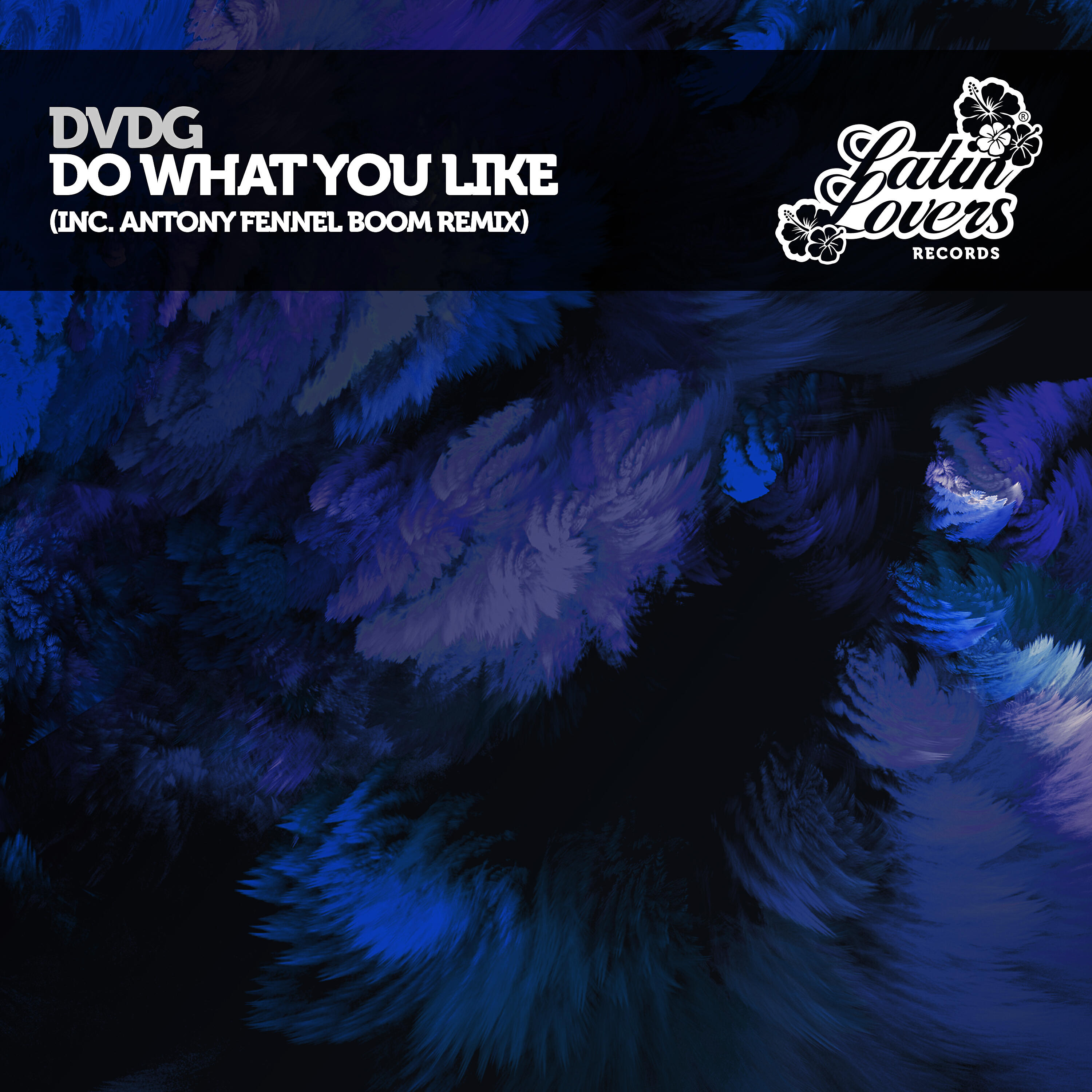 DVDG - Do What You Like (Antony Fennel Extended Boom Mix)
