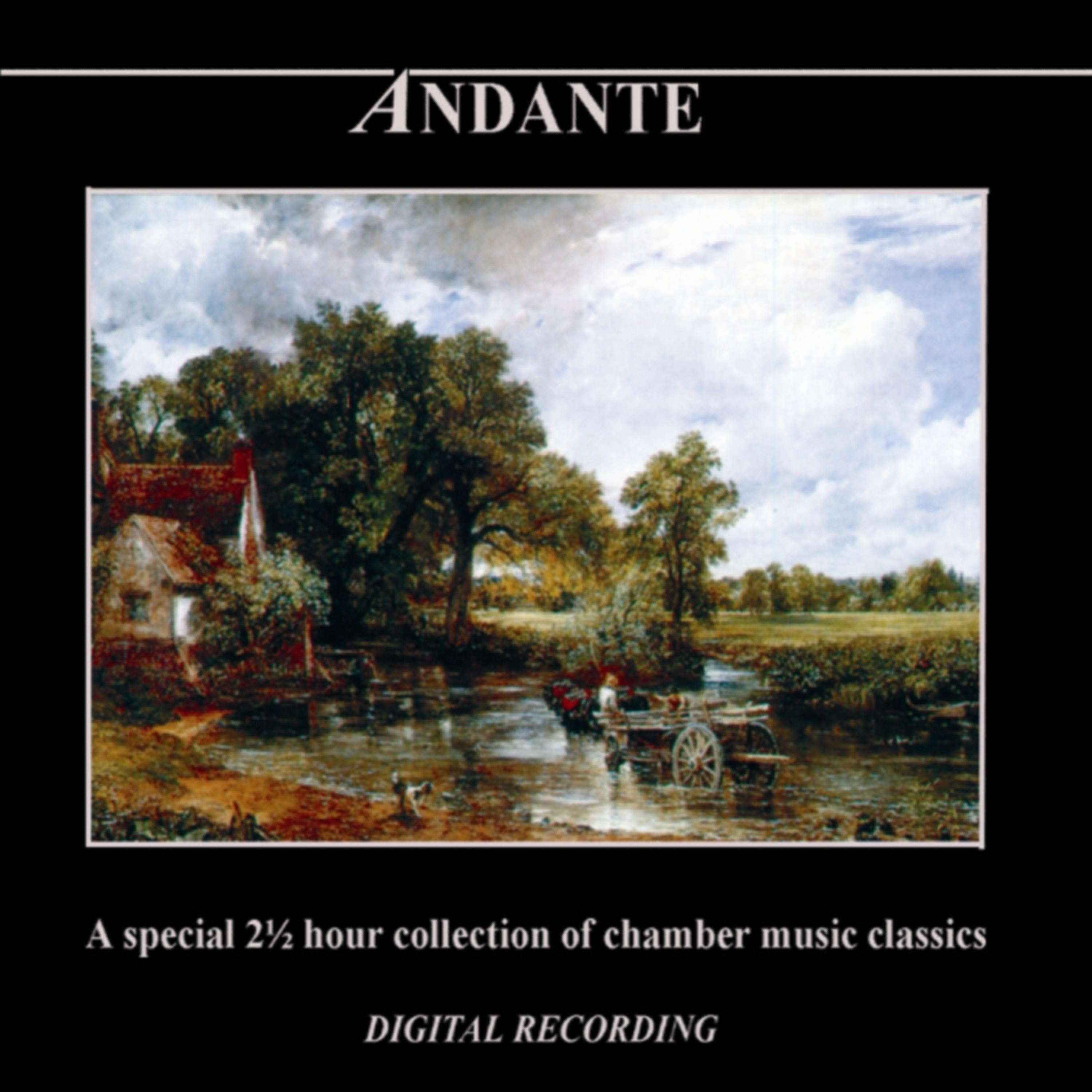 Постер альбома Andante: A Special 2 ½ Hour Collection of Chamber Music Classics