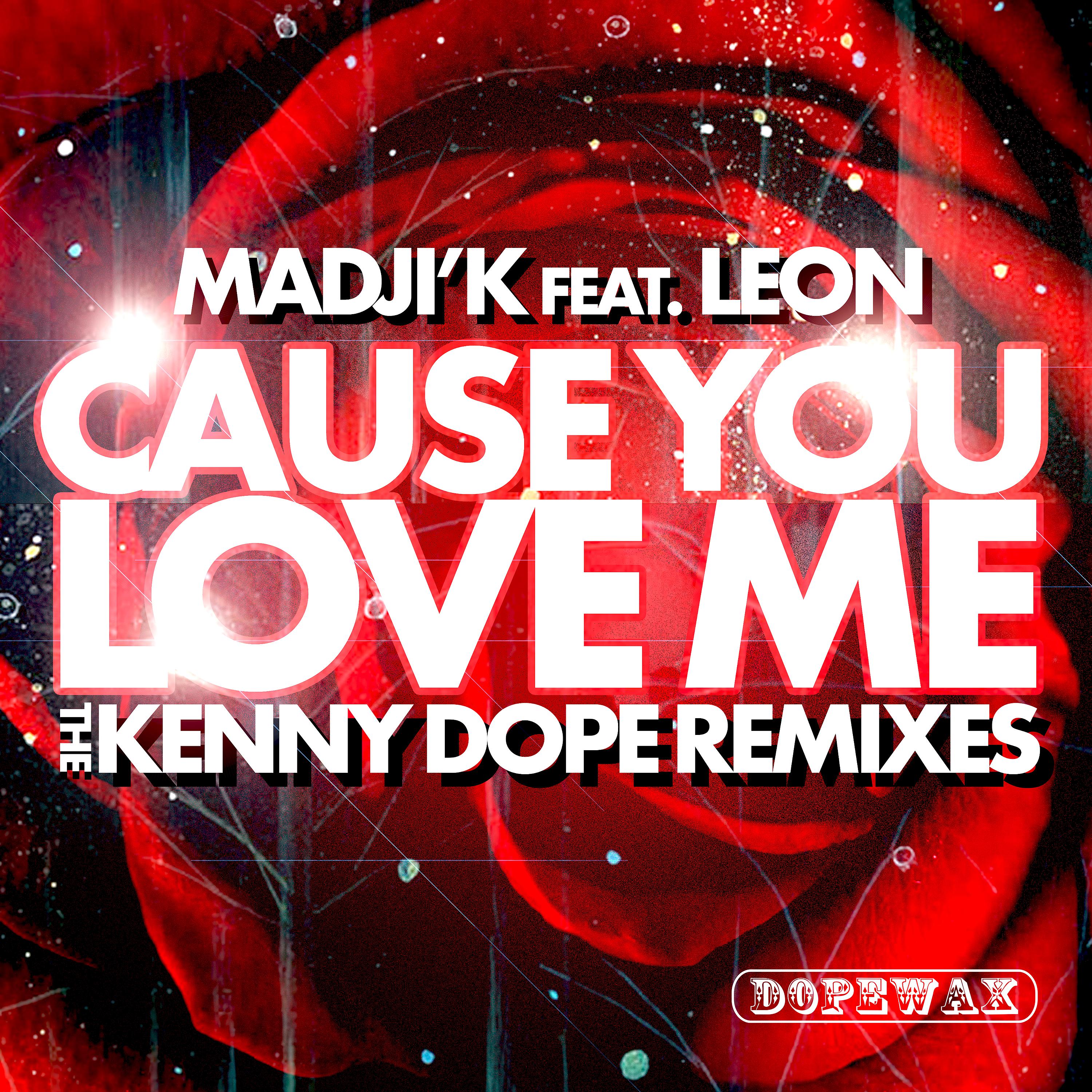 Постер альбома Cause You Love Me (The Kenny Dope Remixes)