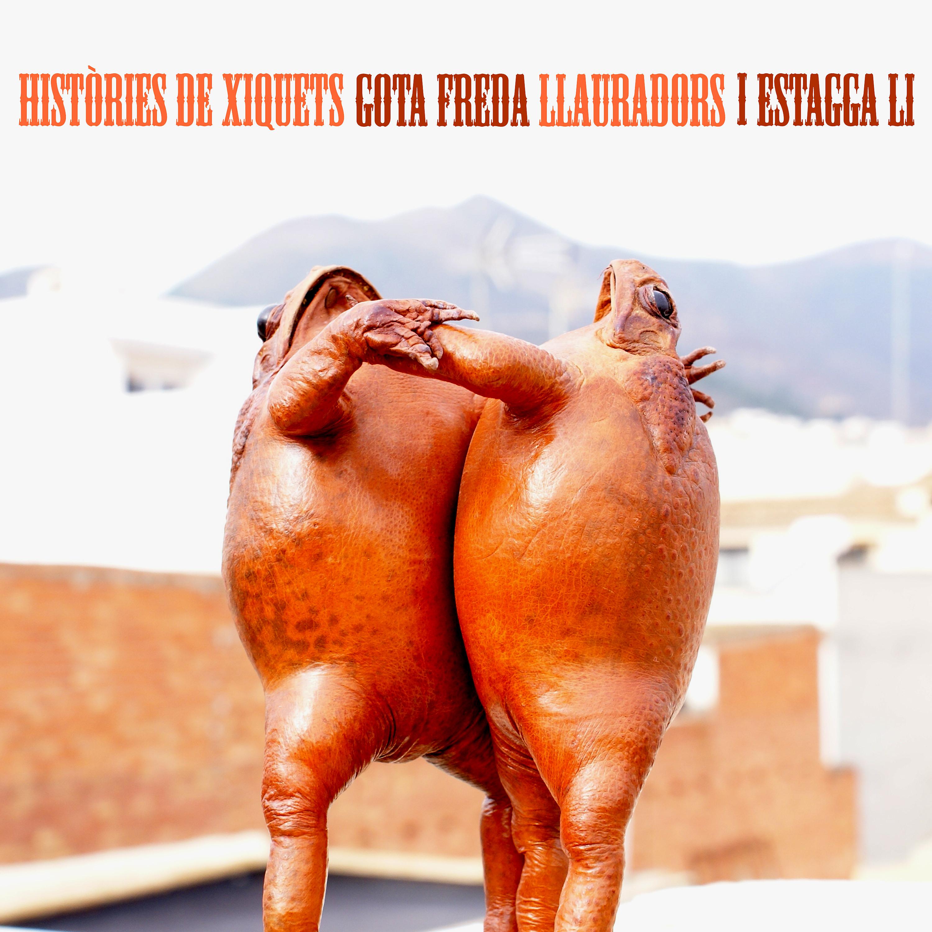 Постер альбома Històries de Xiquets, Gota Freda, Llauradors i Estagga Li