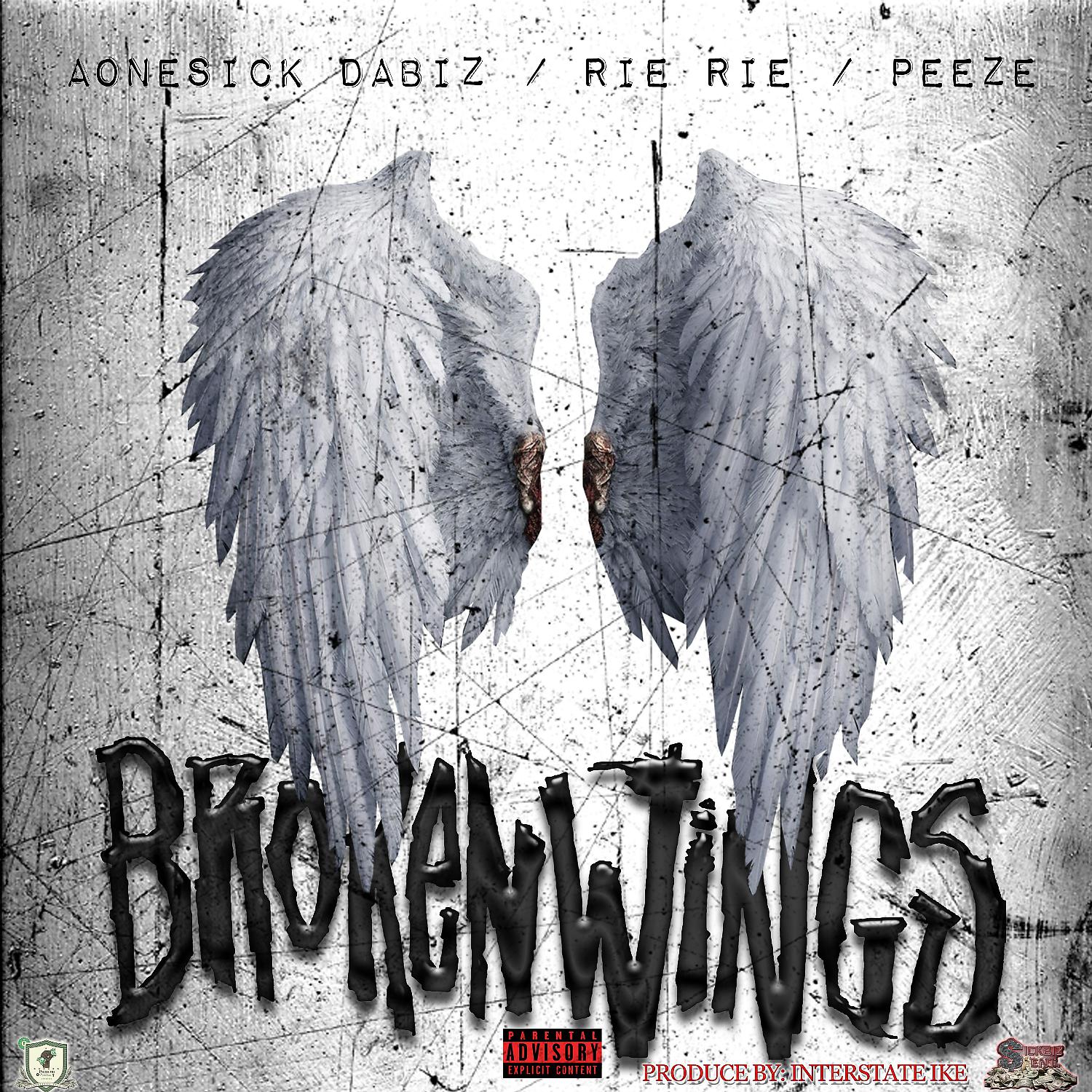 Постер альбома Broken Wings (feat. Rie Rie & Peeze)