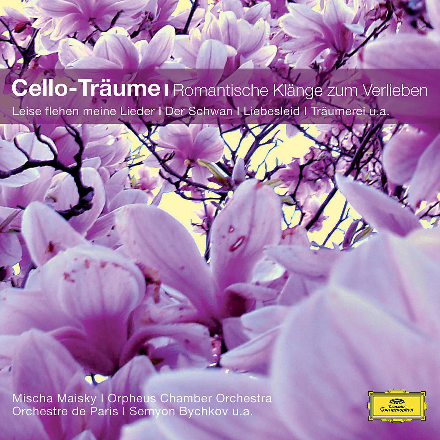 Mischa Maisky - Tchaikovsky: Nocturne In C Sharp Minor, Op.19 No.4