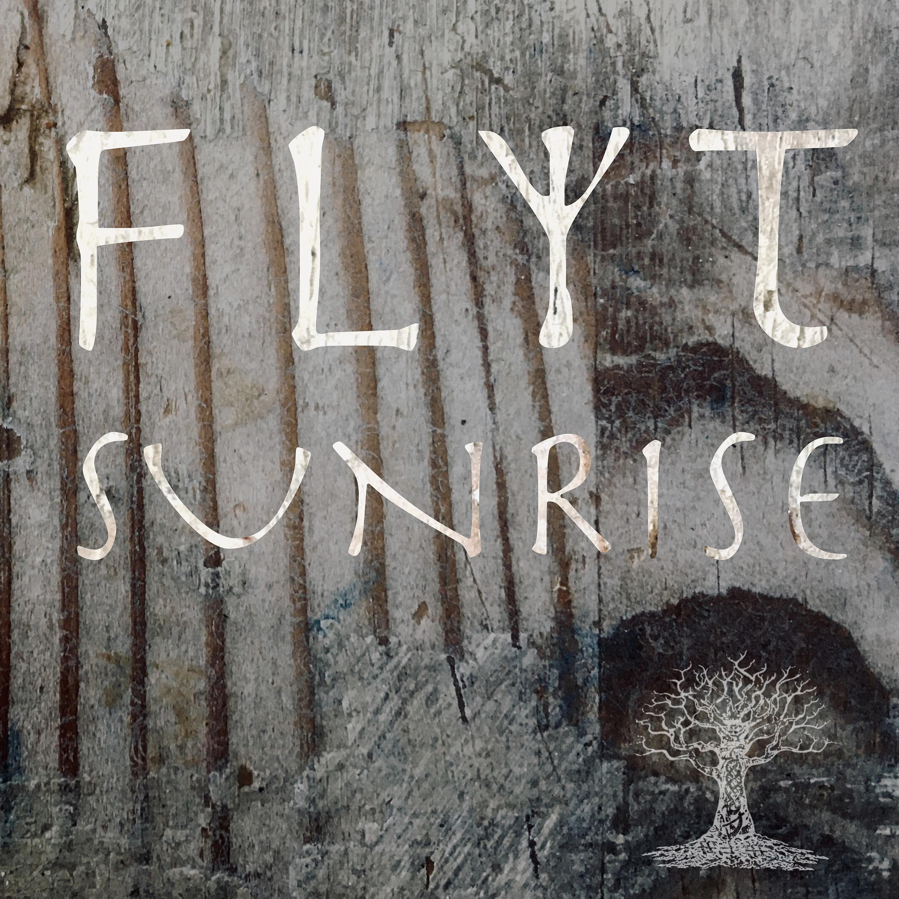 Постер альбома Flyt (Sunrise)