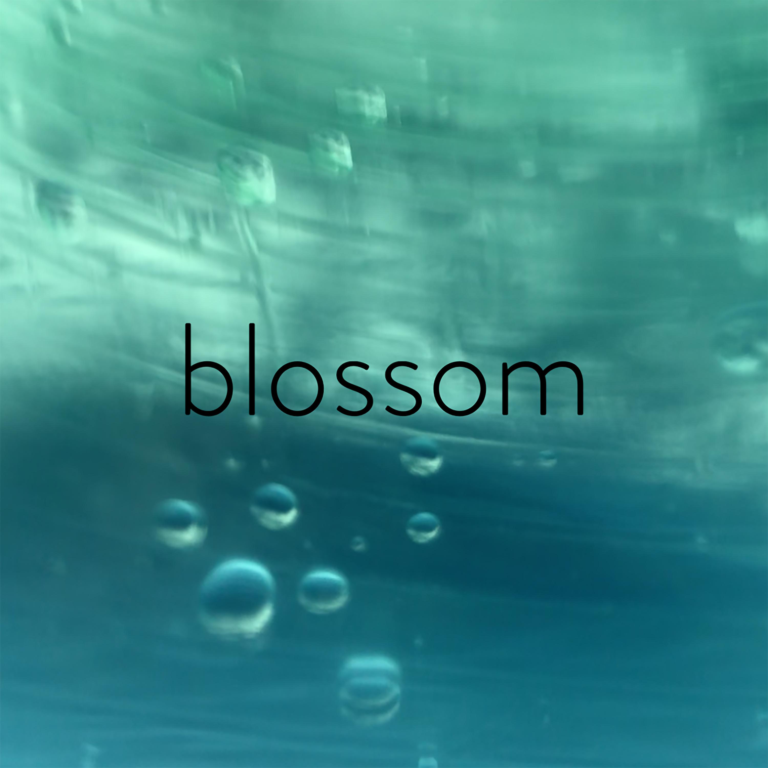 Постер альбома blossom
