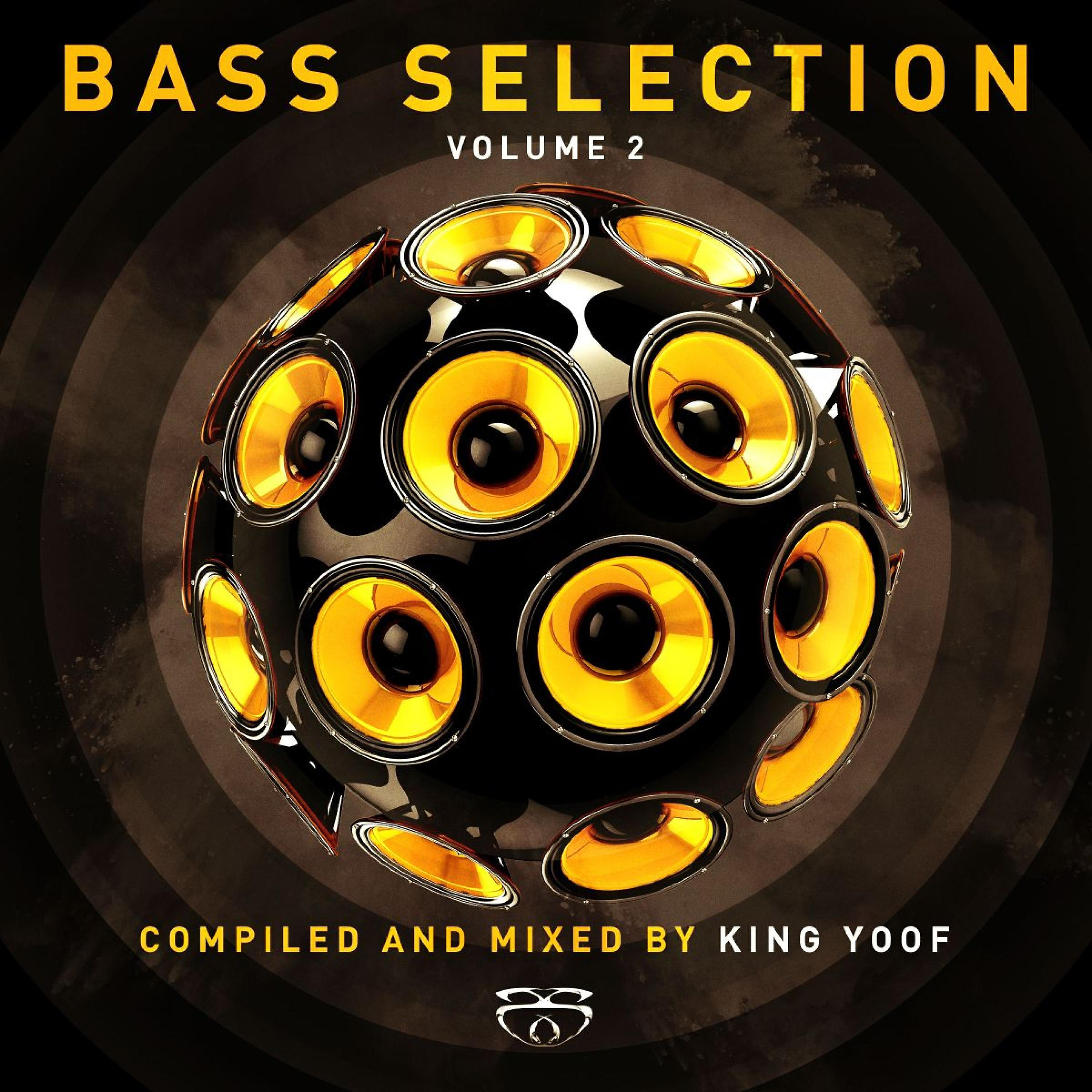 Rhythm Riders - Give Me a Sign (King Yoof Remix)