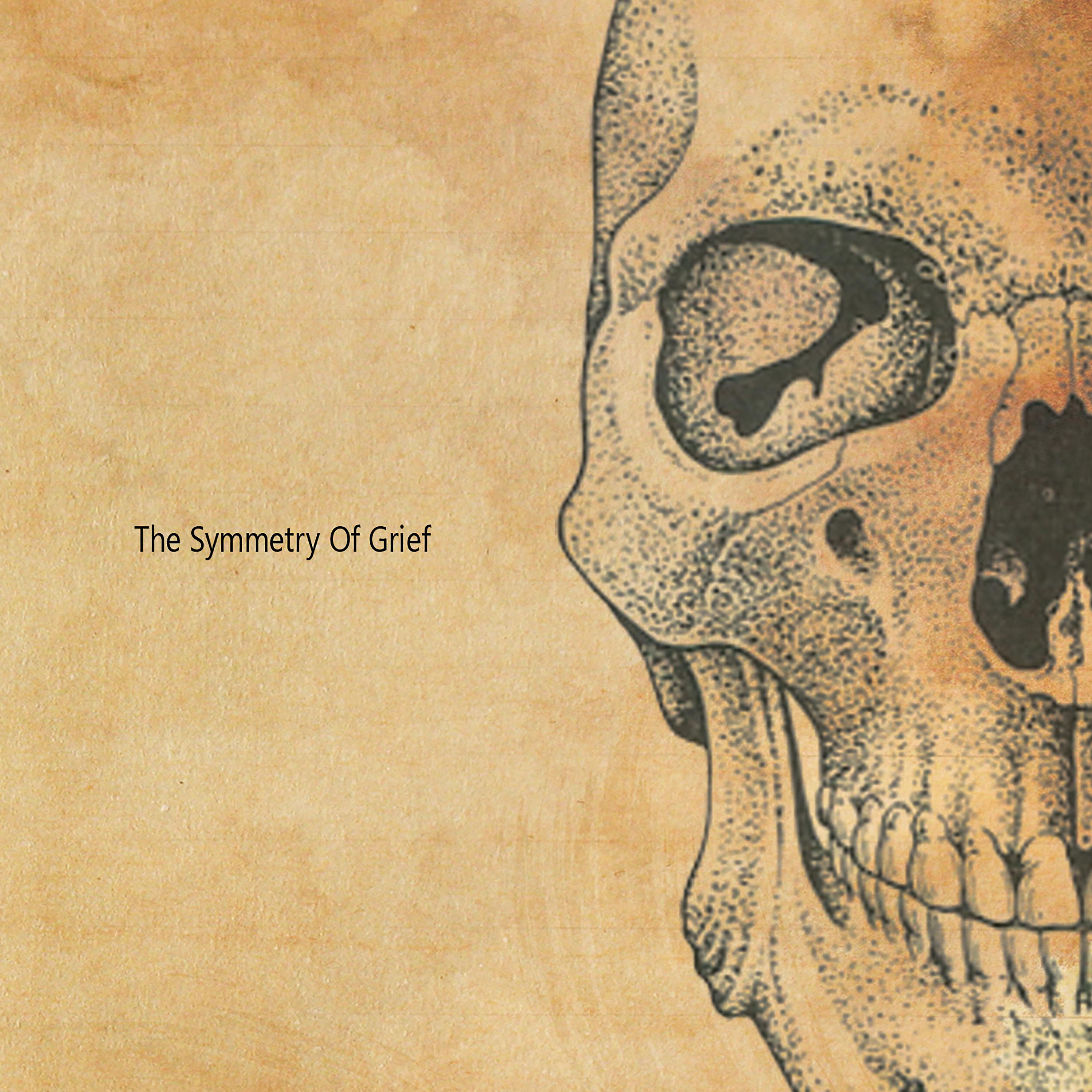 Постер альбома The Symmetry of Grief (Split)