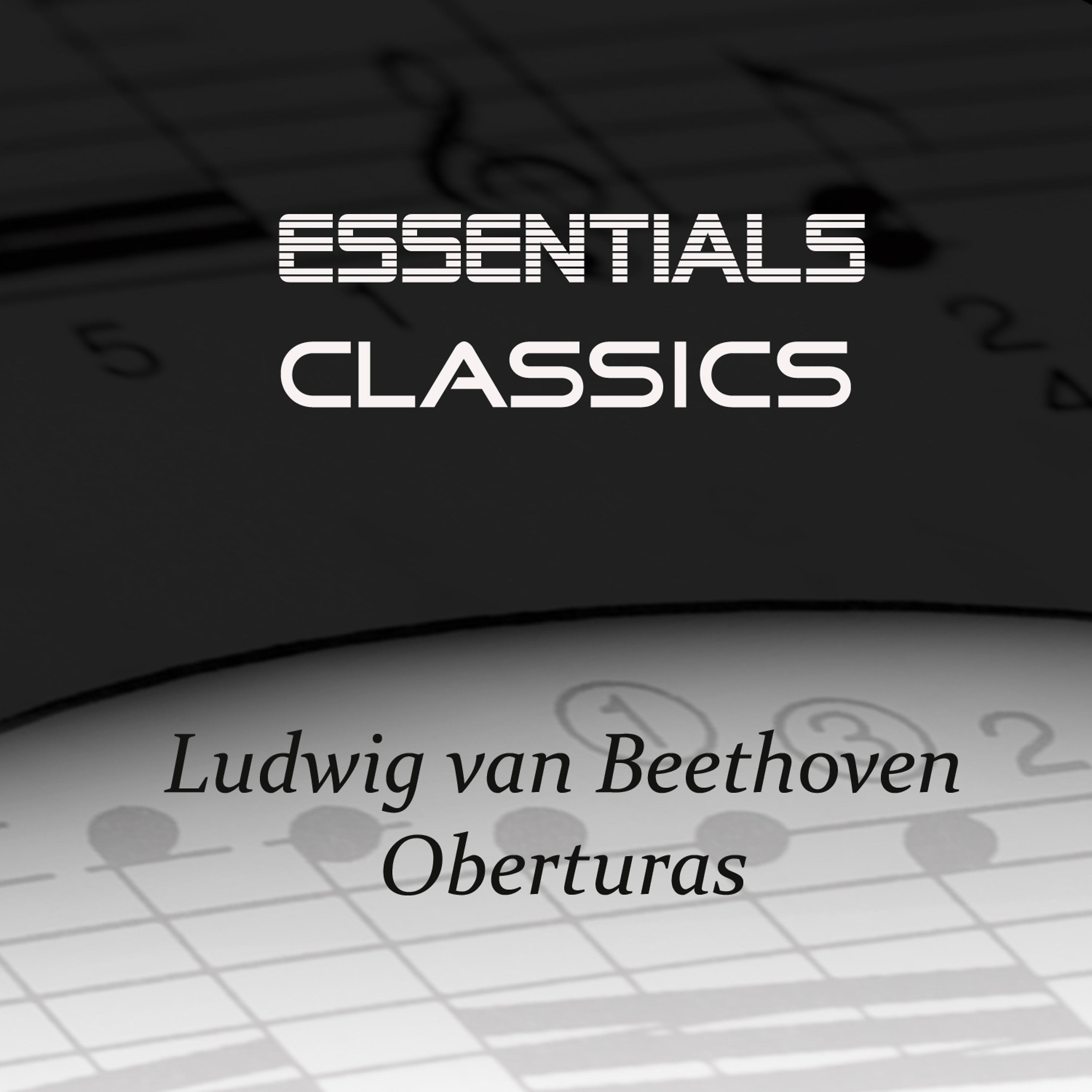 Постер альбома Beethoven Overtures