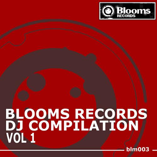 DJ Hoffmana - Never Fade