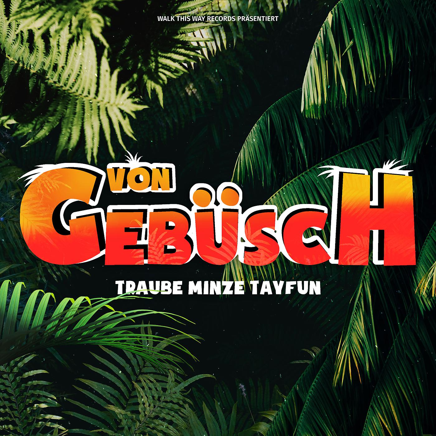 Постер альбома Von Gebüsch EP
