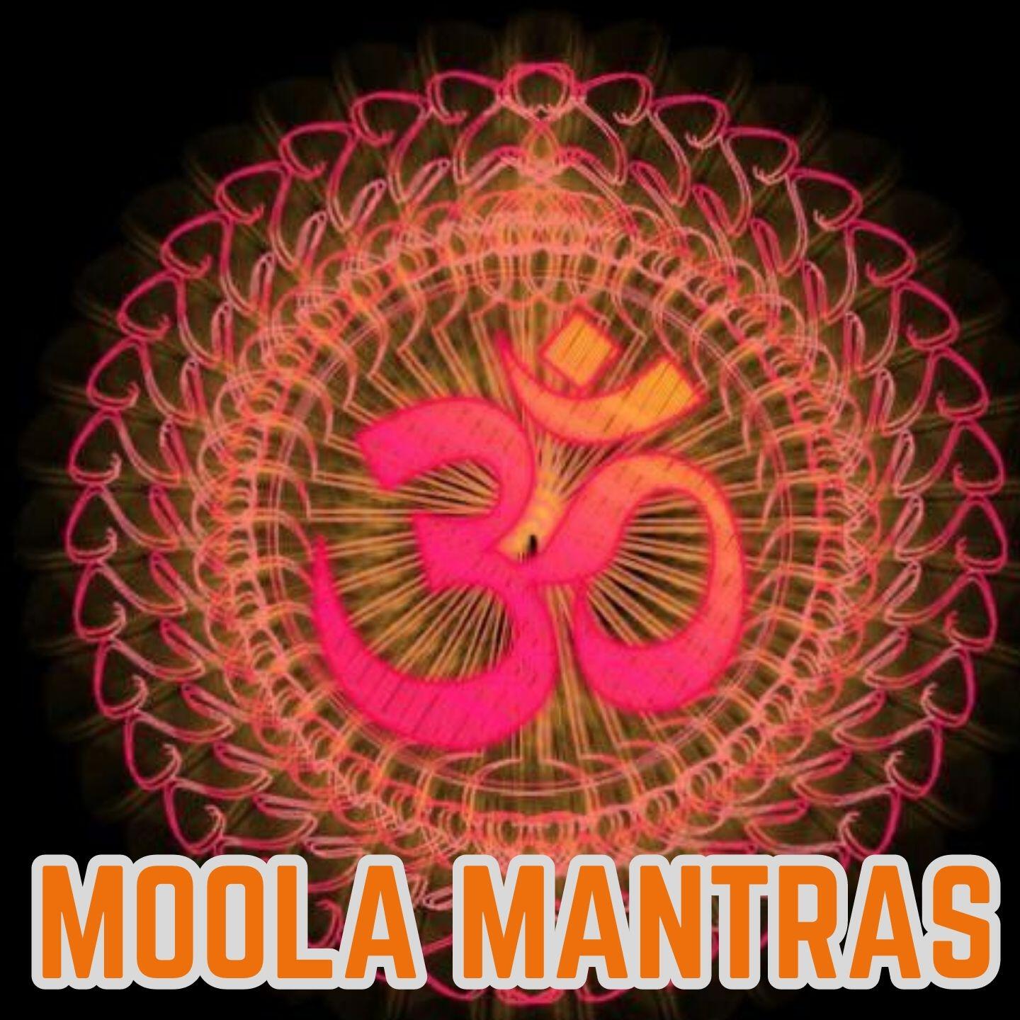 Dr.R. Thiagarajan - Moola mantras -1