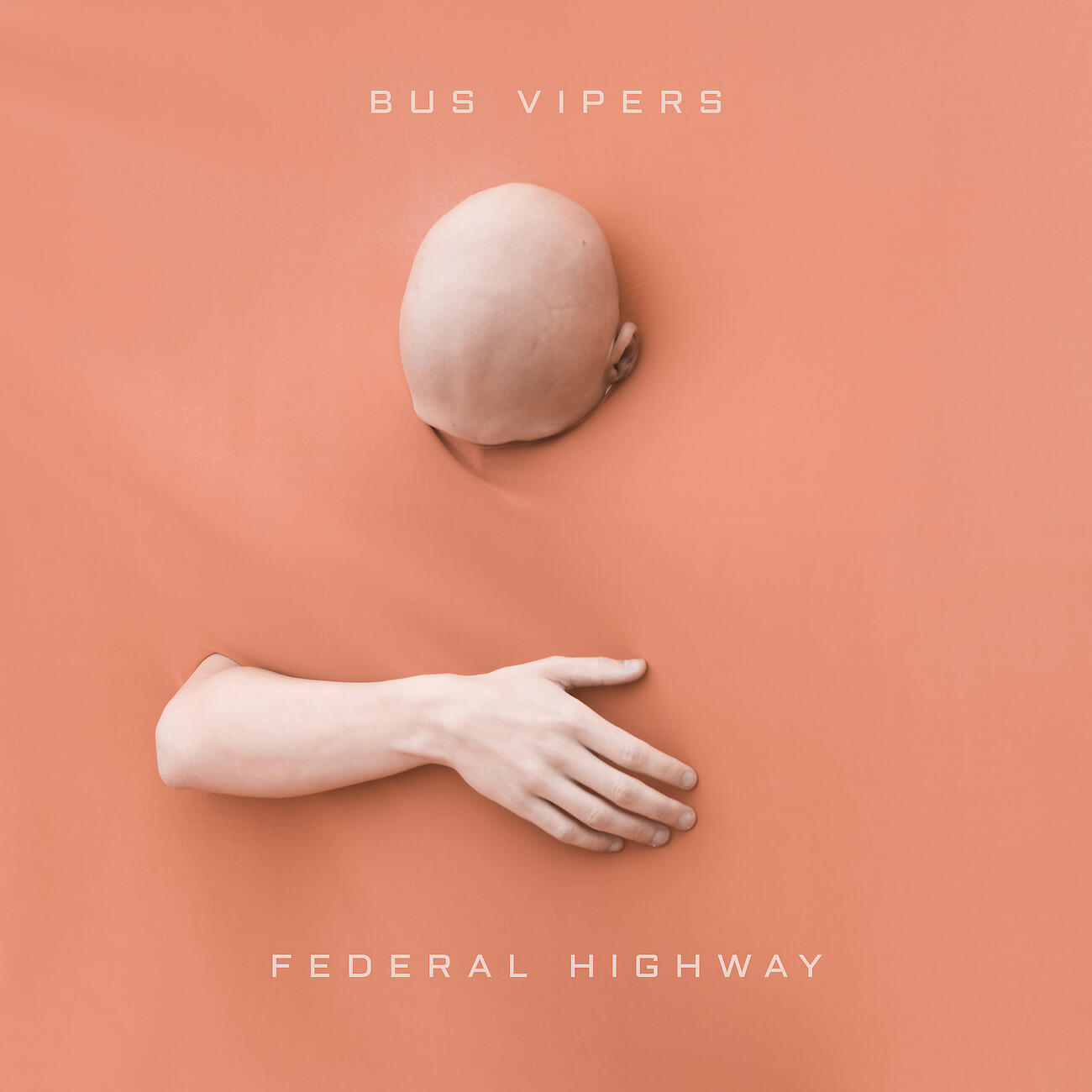 Bus Vipers - Palace